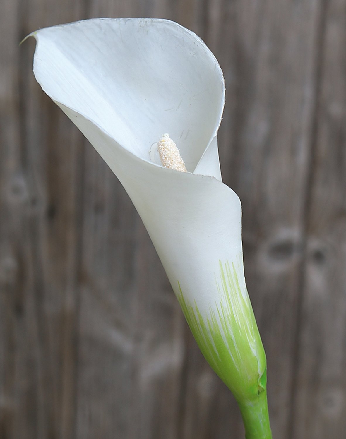 Künstliche Calla aus Kunststoff, 75 cm, weiß