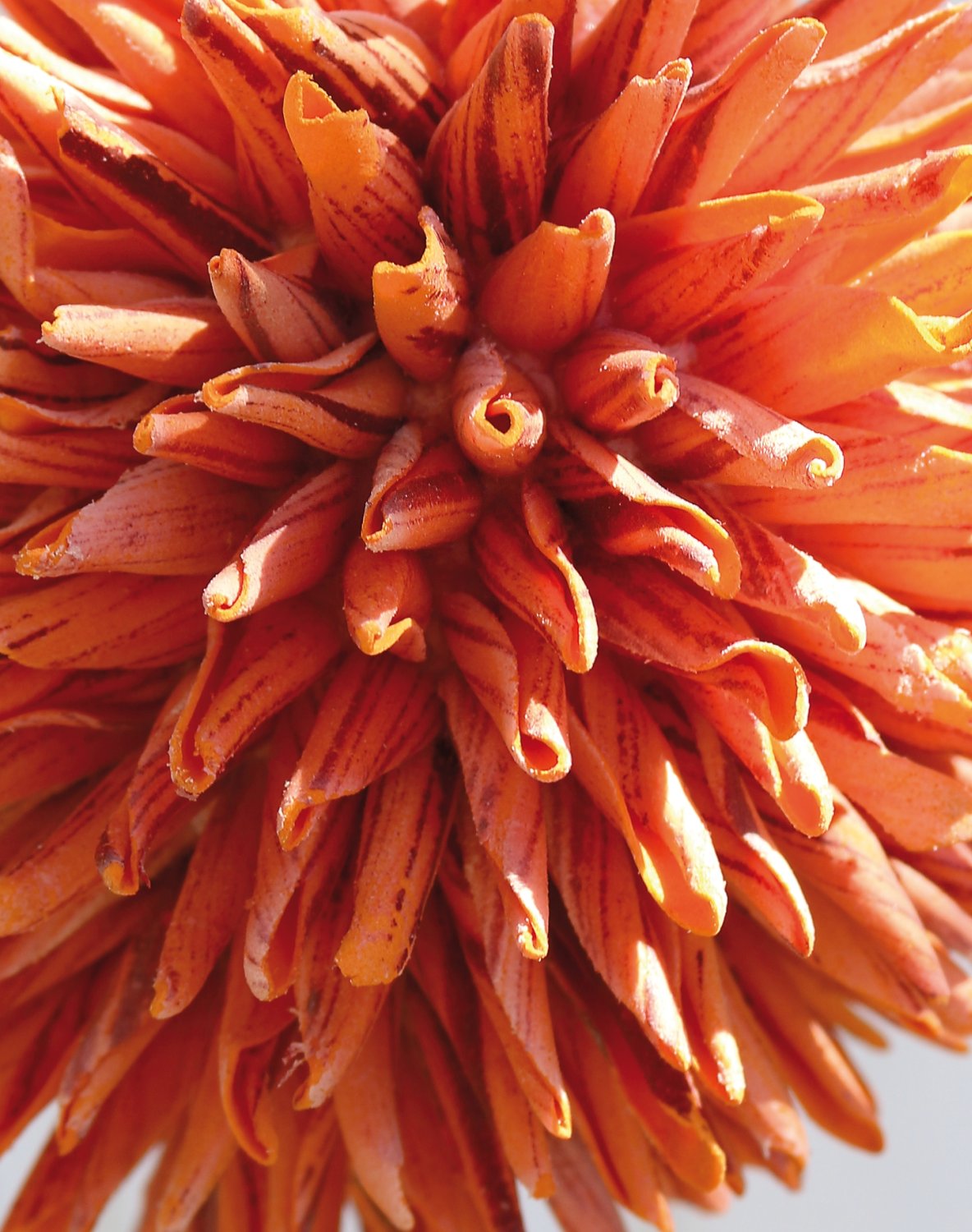 Artificial soft flower 'allium', 80 cm, orange