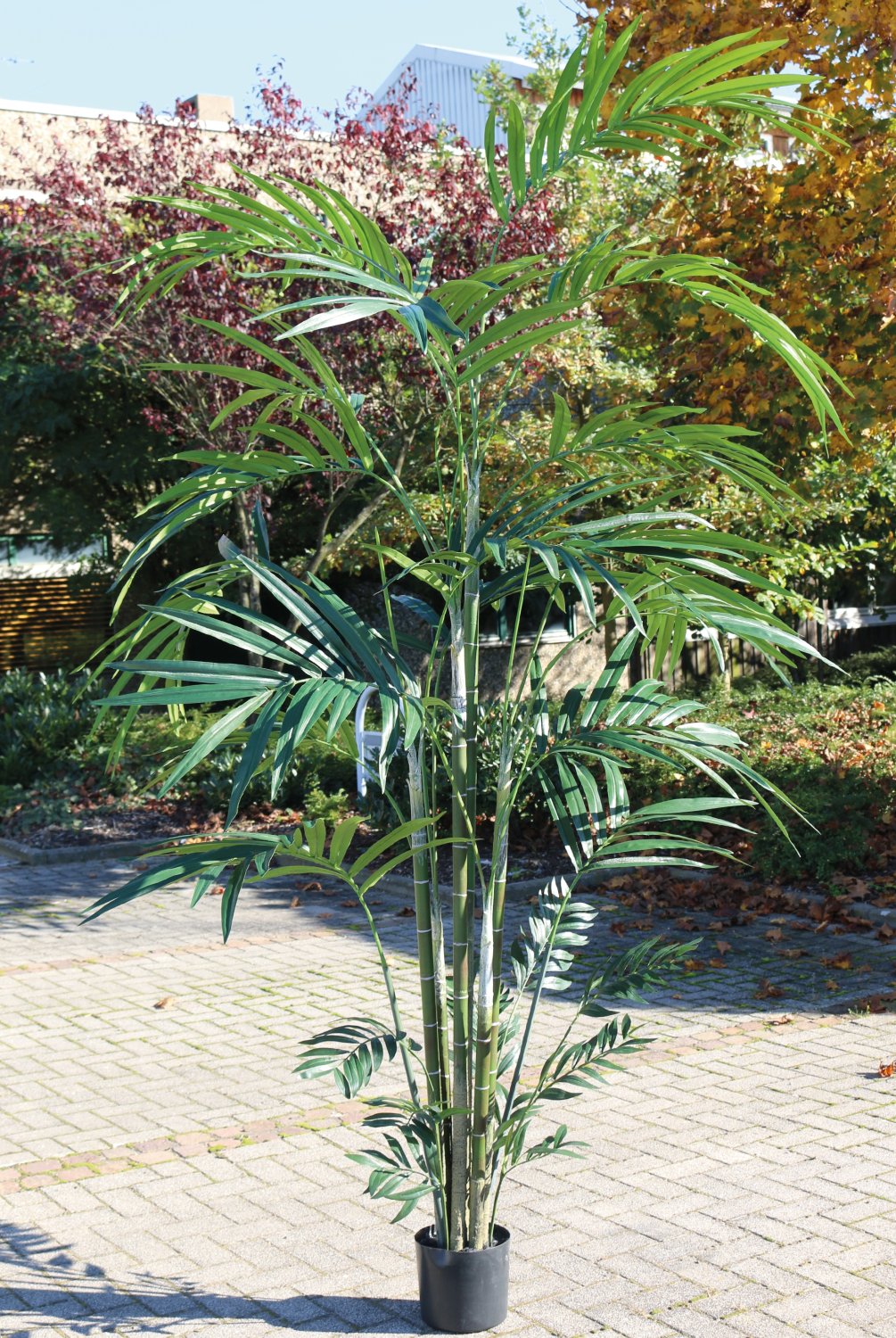 Künstliche Kentia-Palme, getopft, 270 cm, grün