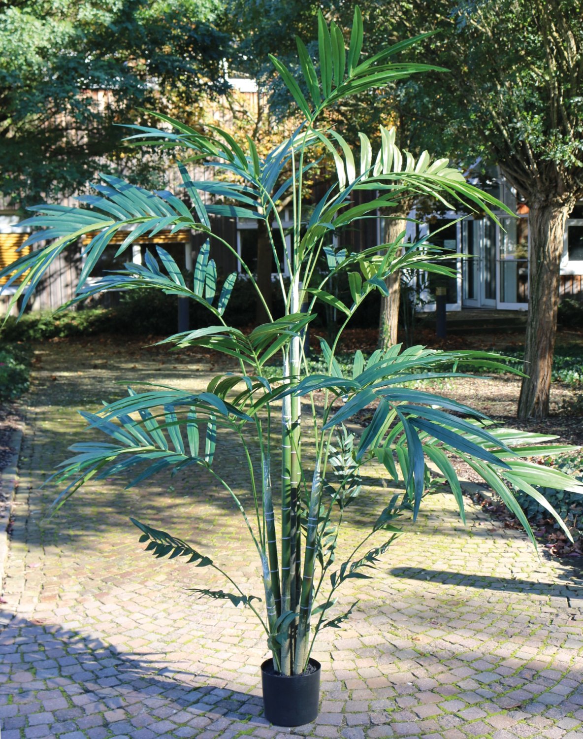 Künstliche Kentia-Palme, getopft, 240 cm, grün