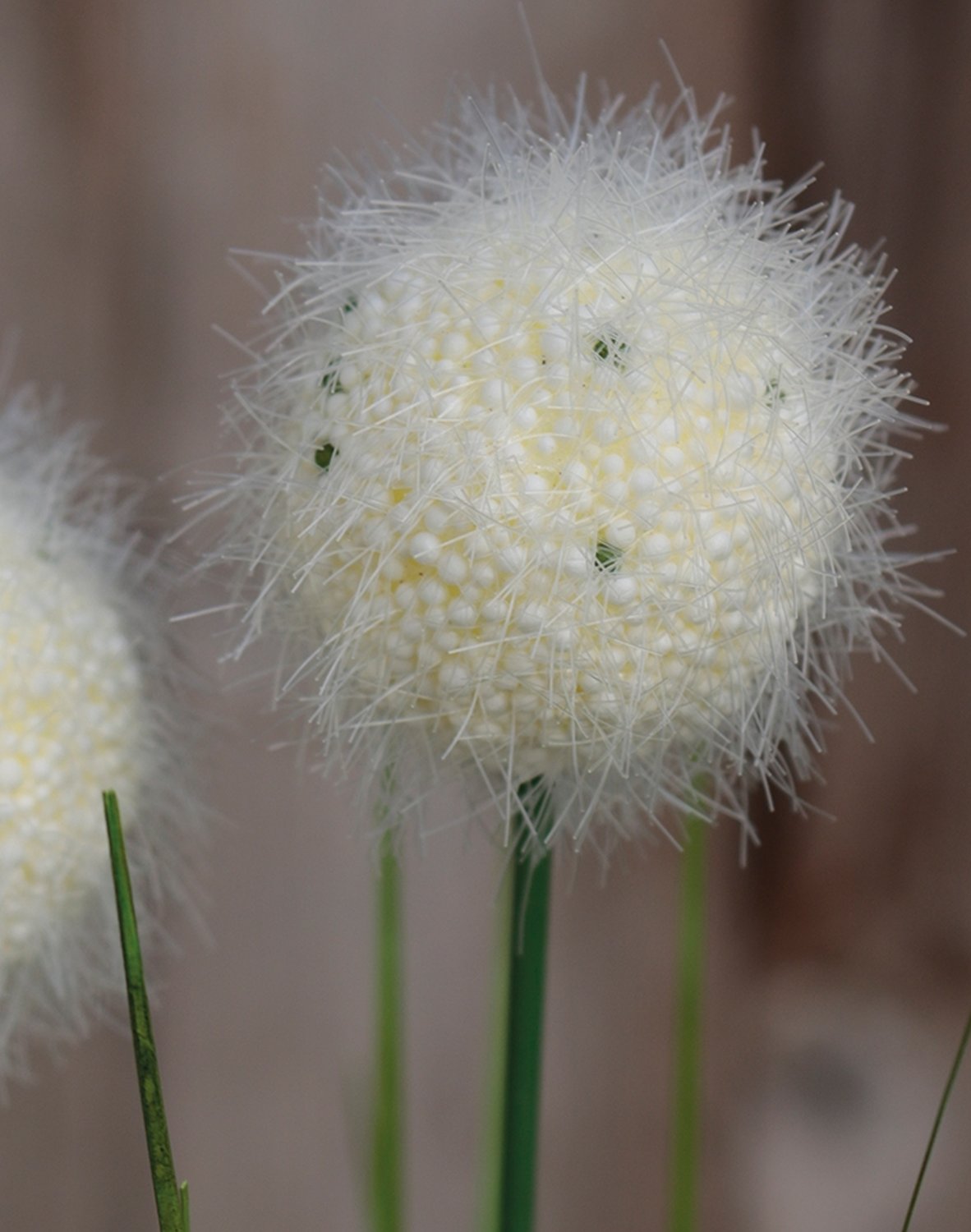 Artificial grass ball, 75 cm, green-white