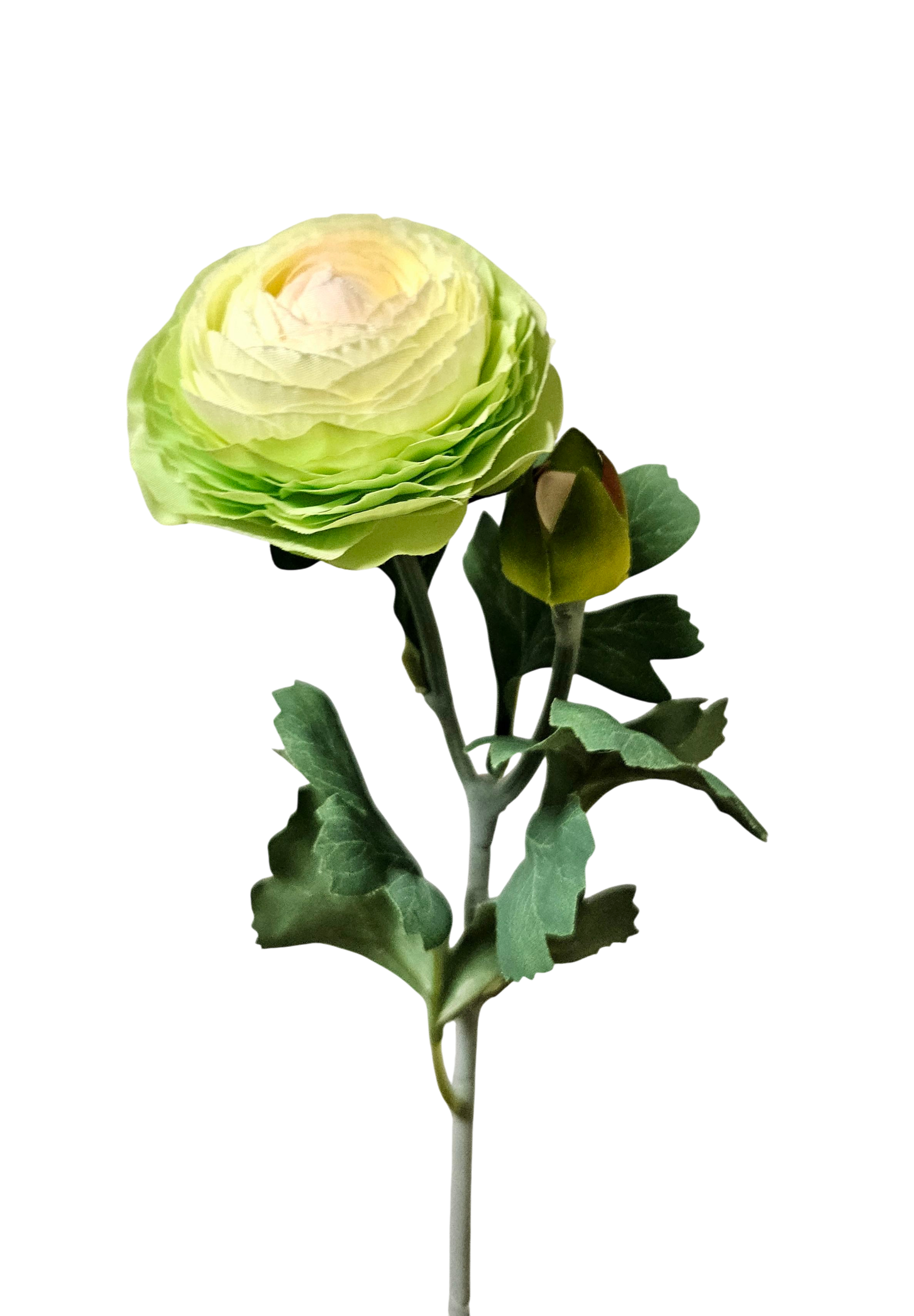 Künstliche Ranunkel, 44 cm, creme-grün