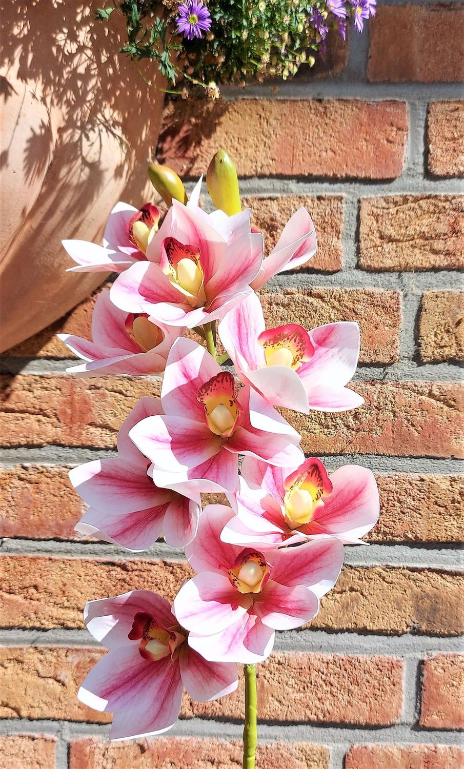 Künstliche Orchidee Cymbidium mit 10 Blüten, 74 cm, Ø 9 cm, Real Touch, rosa-weiß