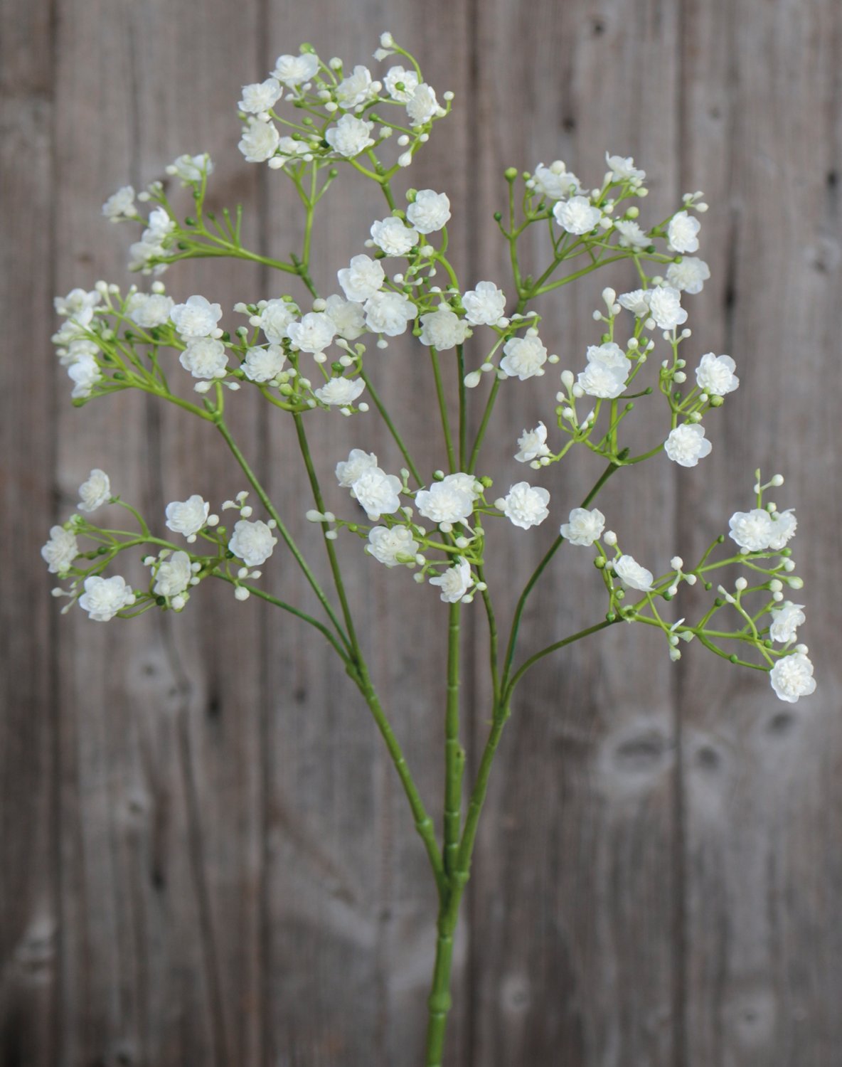 Künstliche Gypsophilia, 70 cm, creme-weiß Künstliche Gypsophilia, 70 cm, creme-weiß