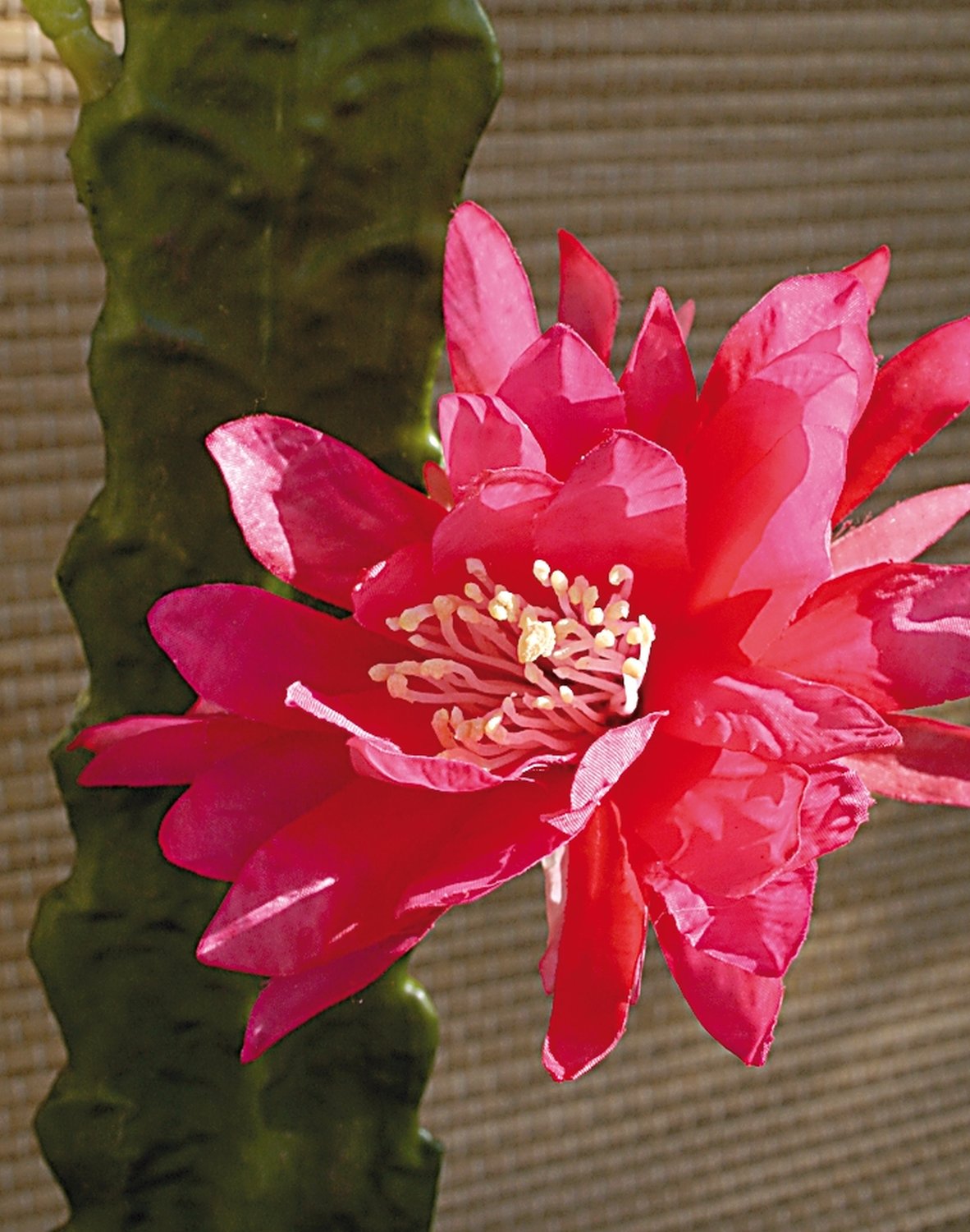 Artificial large-flowered cactus, 52 cm, pink