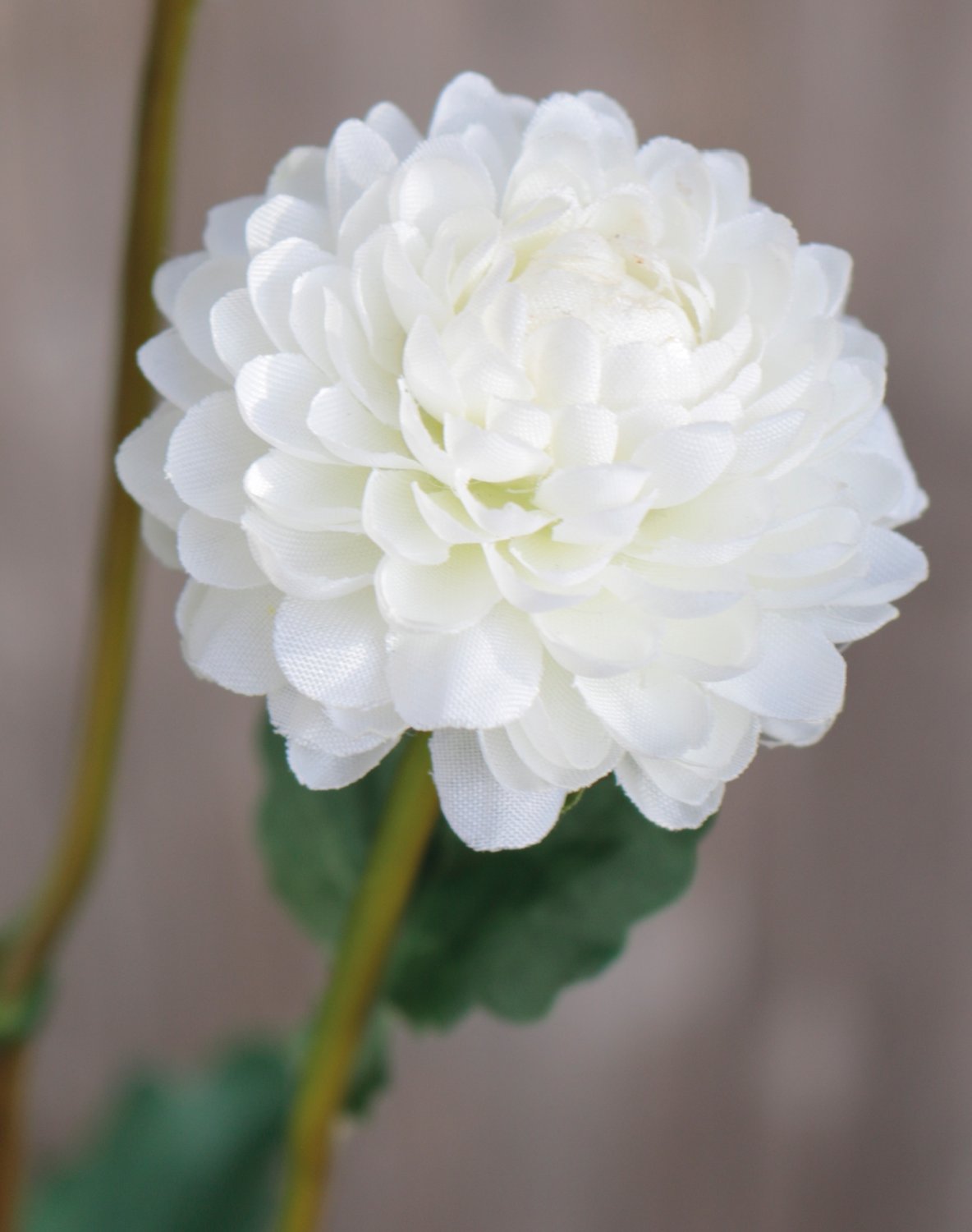Crisantemo artificiale, 5 fiori, 68 cm, bianco-crema
