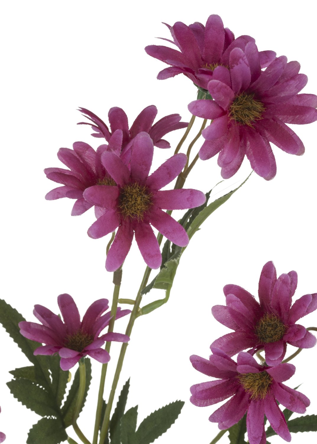 Deko Margeritenzweig, 67 cm, trendy purple