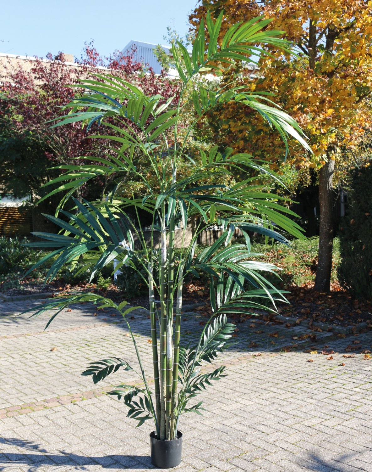 Künstliche Kentia-Palme, getopft, 270 cm, grün