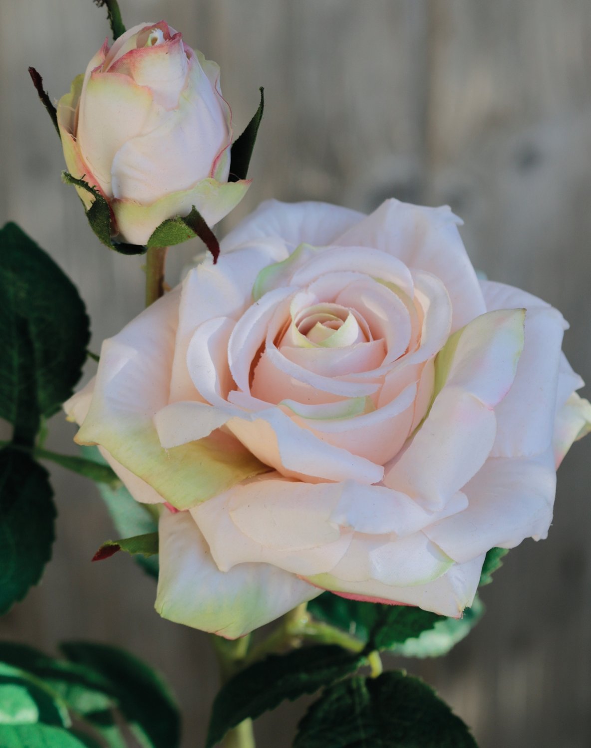 Artificial rose, 1 flower, 1 bud, 37 cm, real touch soft, antique-light pink