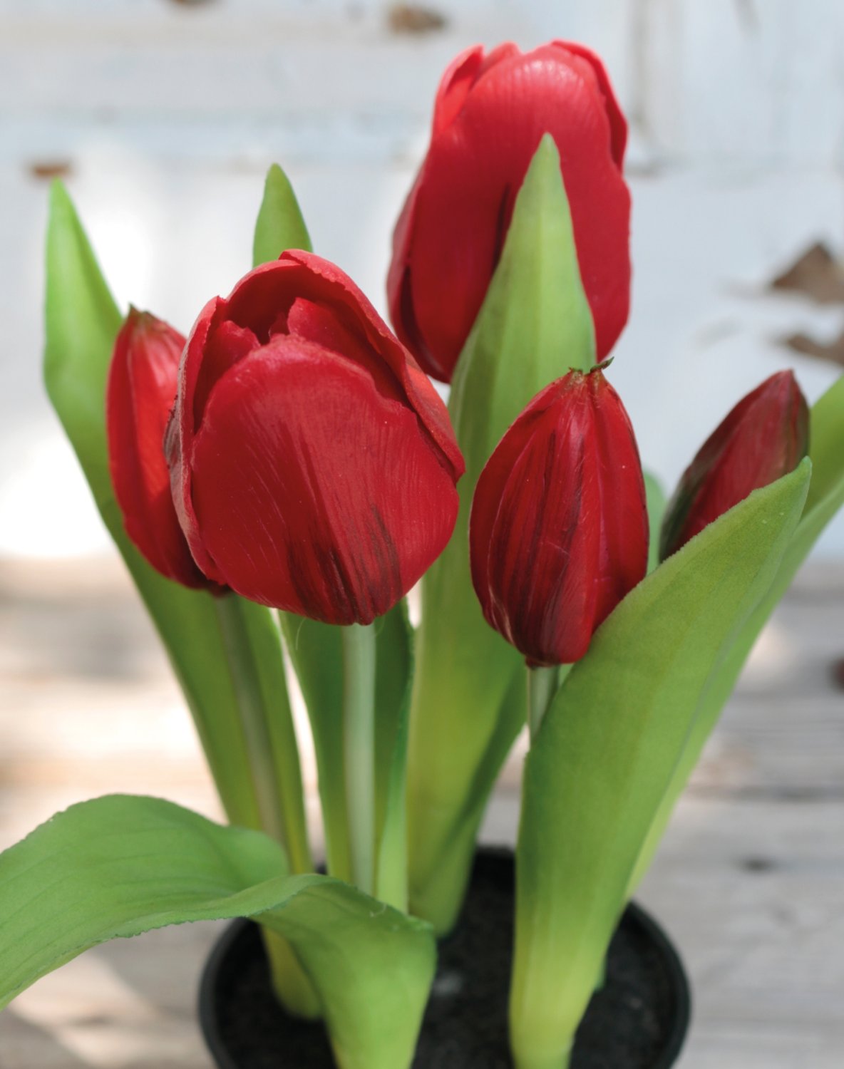 Künstliche Tulpen, getopft, 5-fach, 25 cm, Real Touch, rot