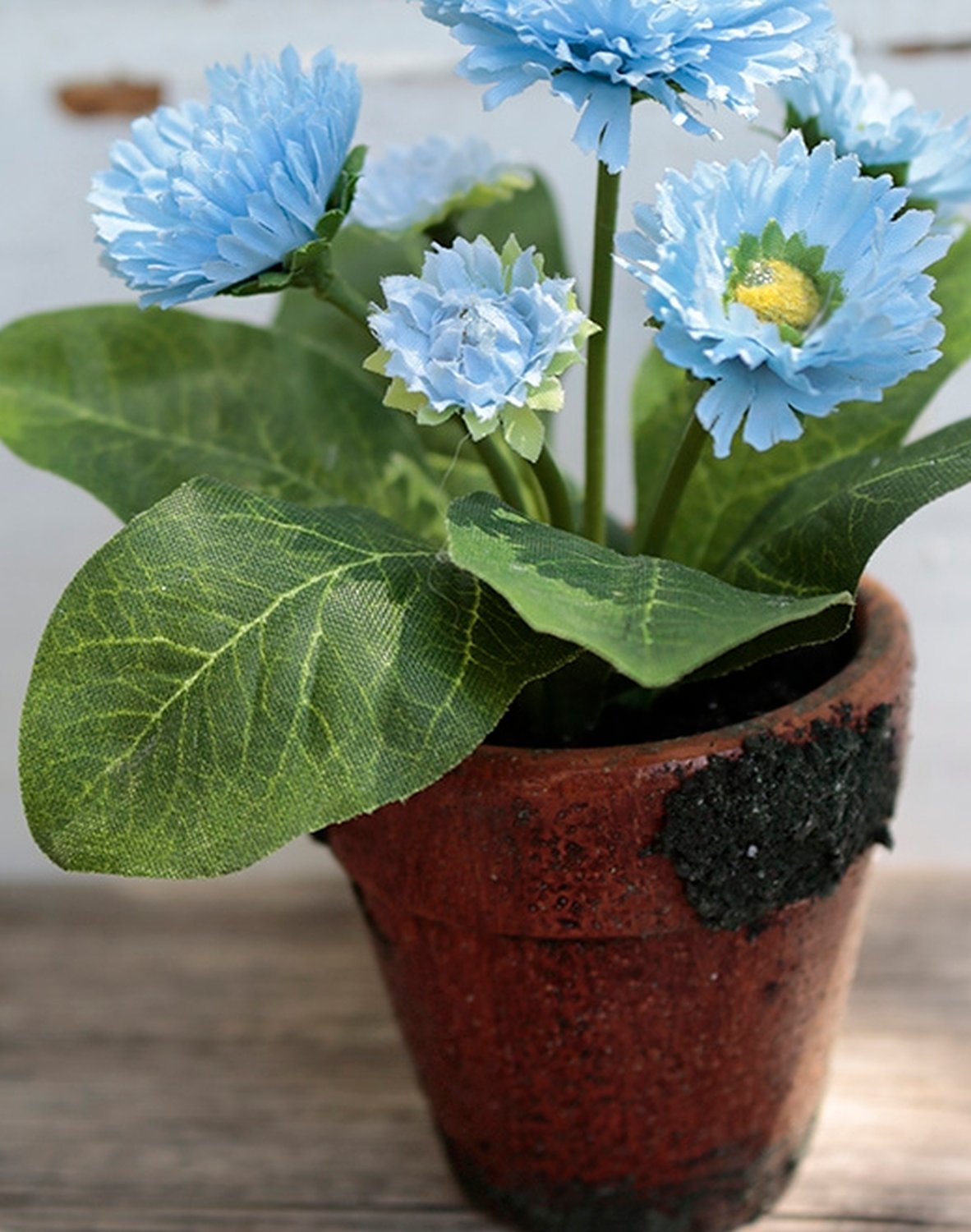 Bellis artificiale, in vaso, 6 fiori, 15 cm, blu chiaro