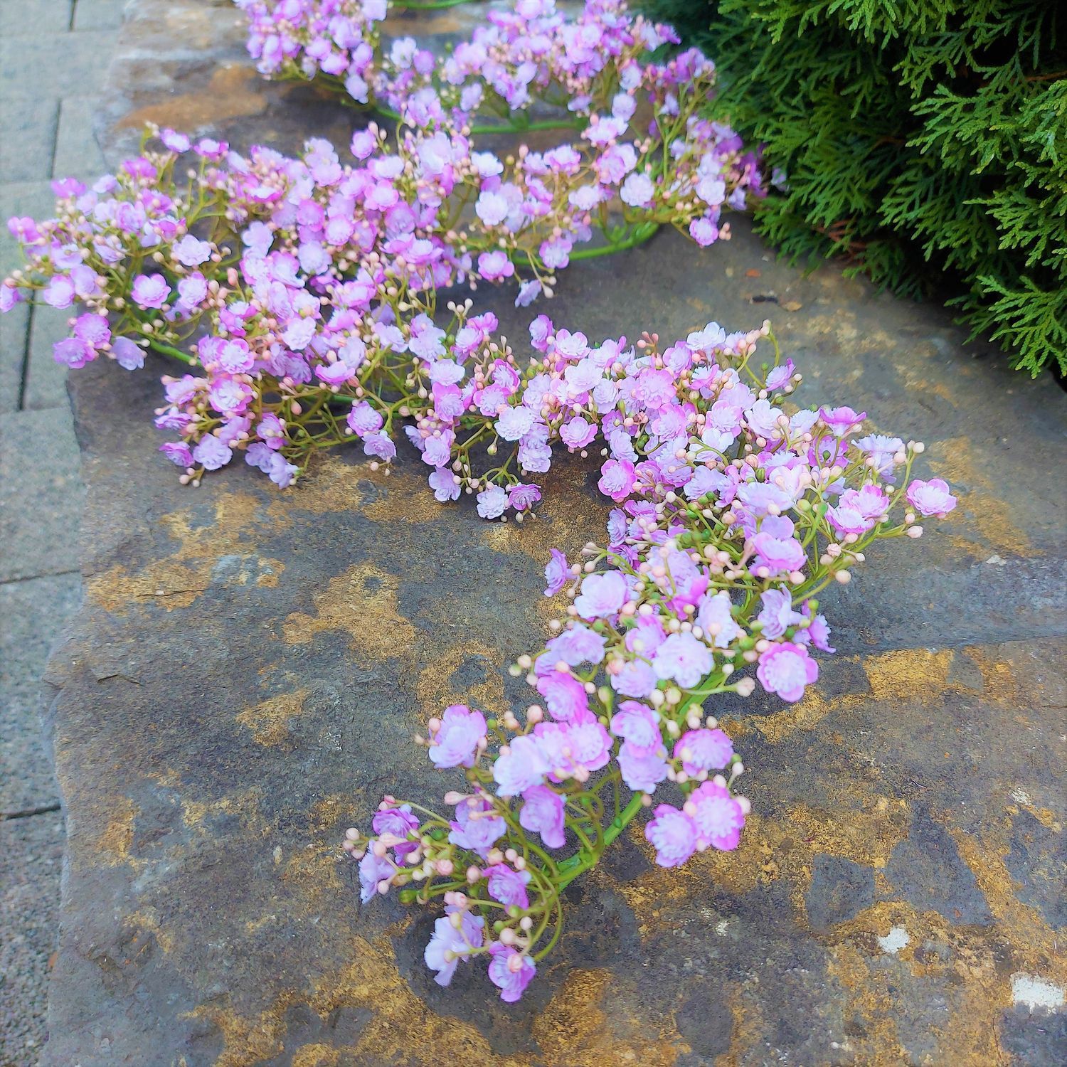 Artificial garland Gypsophilia, 180 cm, pink-purple