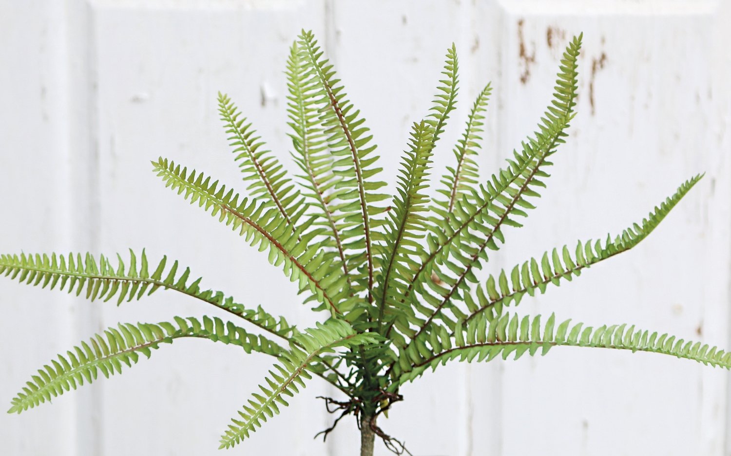 Imitation fern bush, 30 cm, green