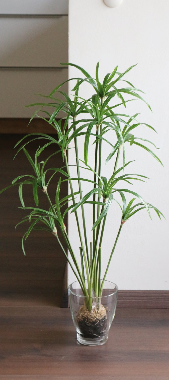 Künstliches Zyperngras in 'Erde', 85 cm, grün