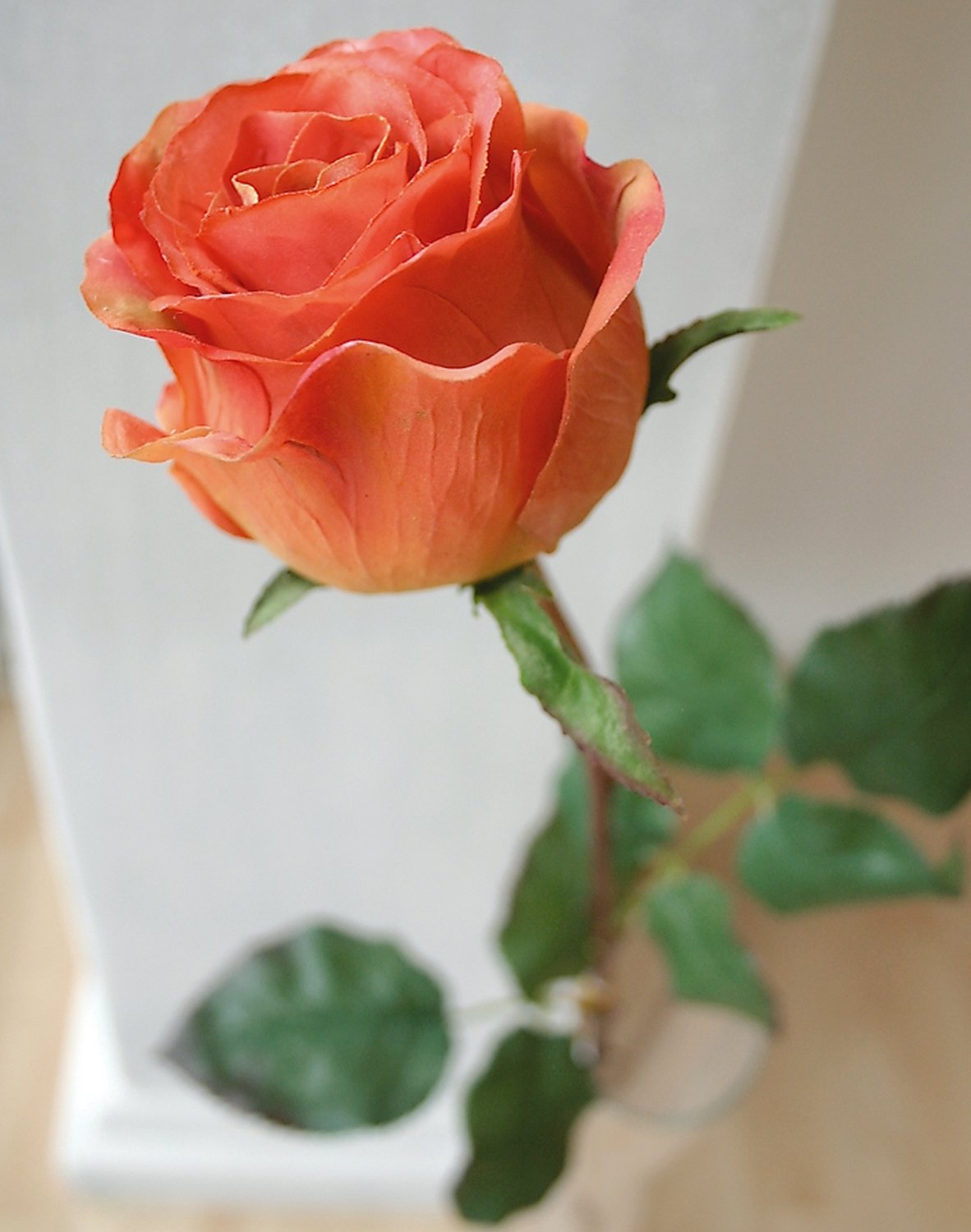 Rosa artificiale Duchesse, 85 cm, albicocca