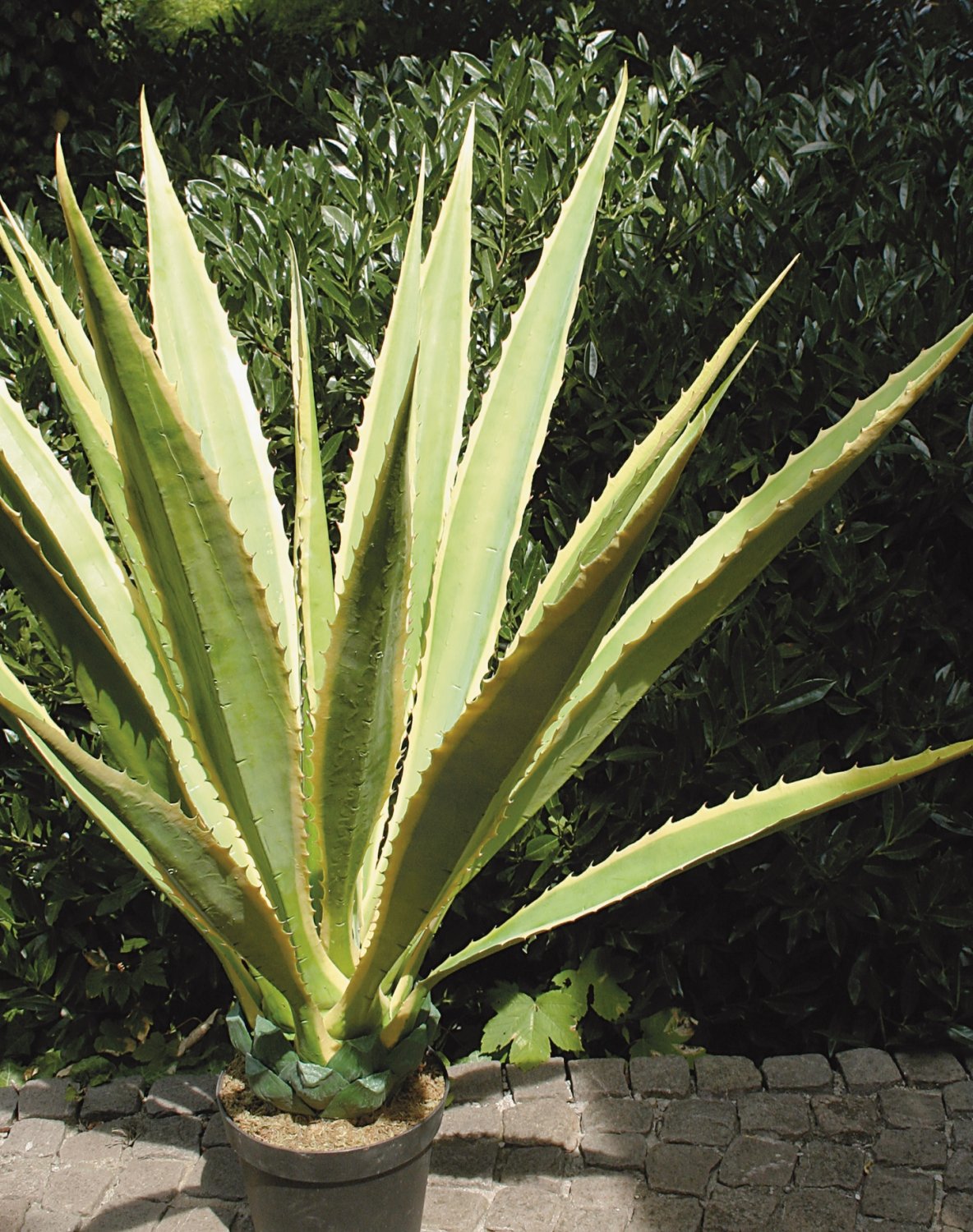 Künstliche Agave, getopft, 21 Blätter, 120 cm, grün-gelb