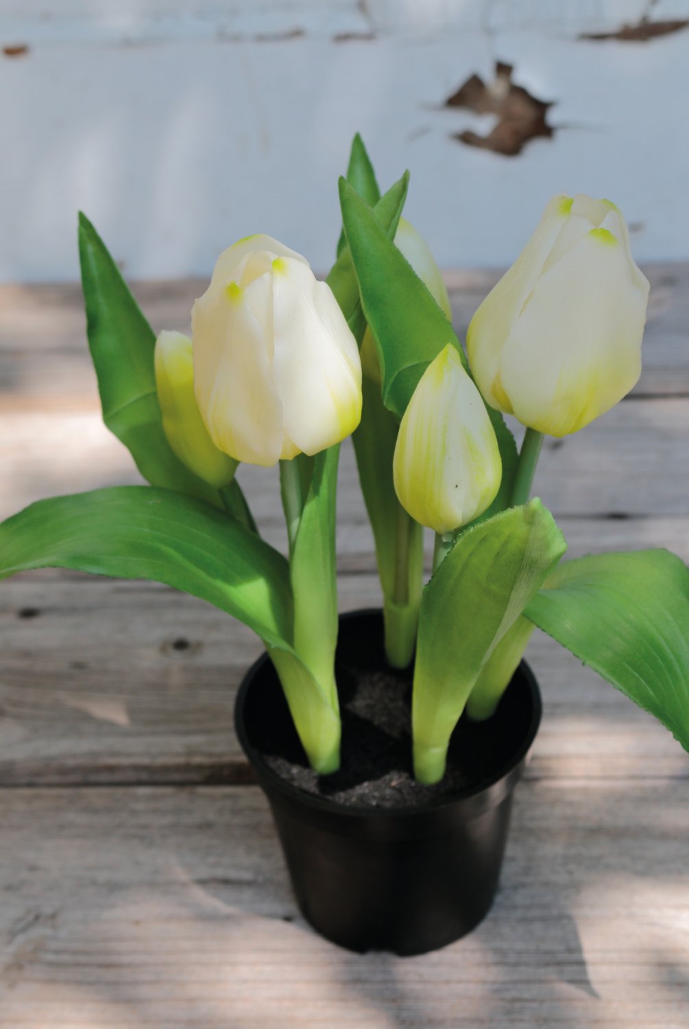 Künstliche Tulpen, getopft, 5-fach, 25 cm, Real Touch, weiß-grün