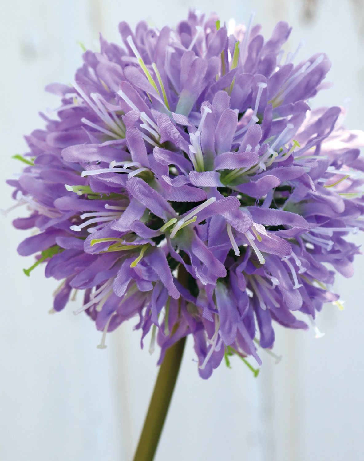 Agapanto artificiale, 62 cm, viola chiaro-viola scuro