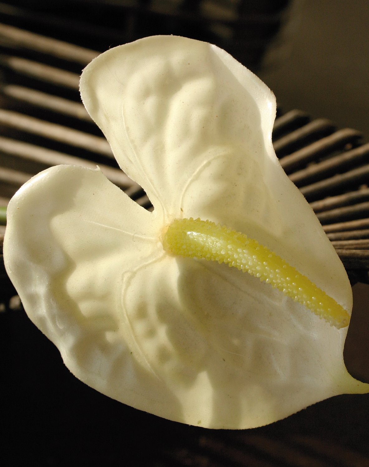 Künstliche Anthurium, 51 cm, weiß