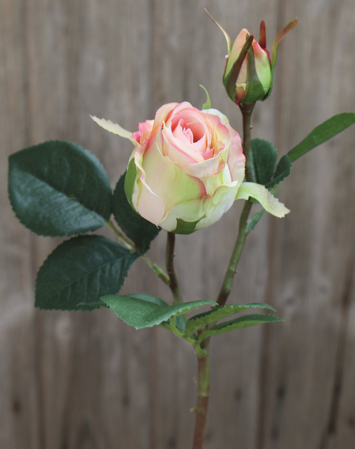 Künstliche Rose, 1 Blüte, 1 Knospe, 45 cm, creme-aprikose Künstliche Rose, 1 Blüte, 1 Knospe, 45 cm, creme-aprikose