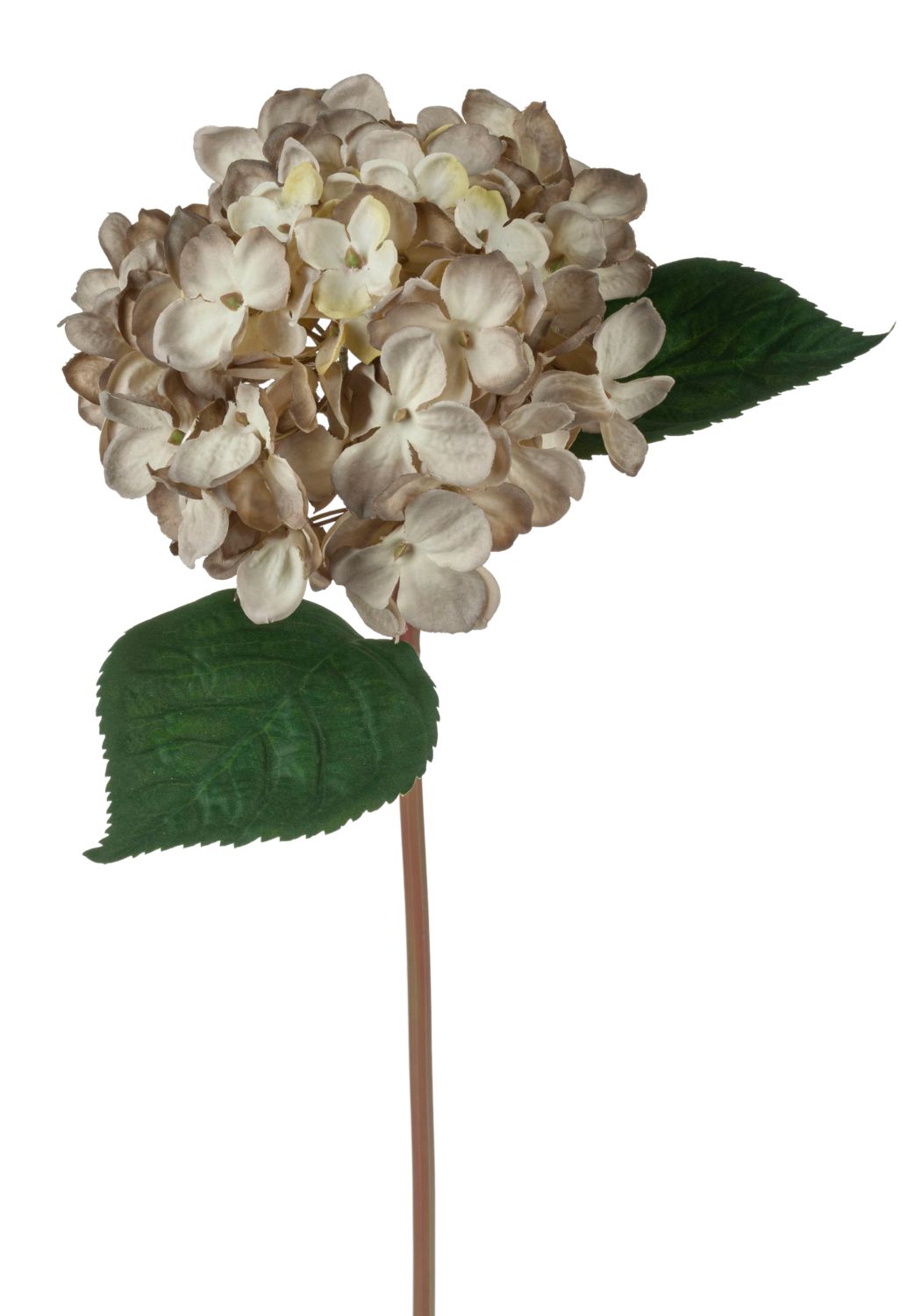Deko Blume Hortensie, 43 cm, creme-braun