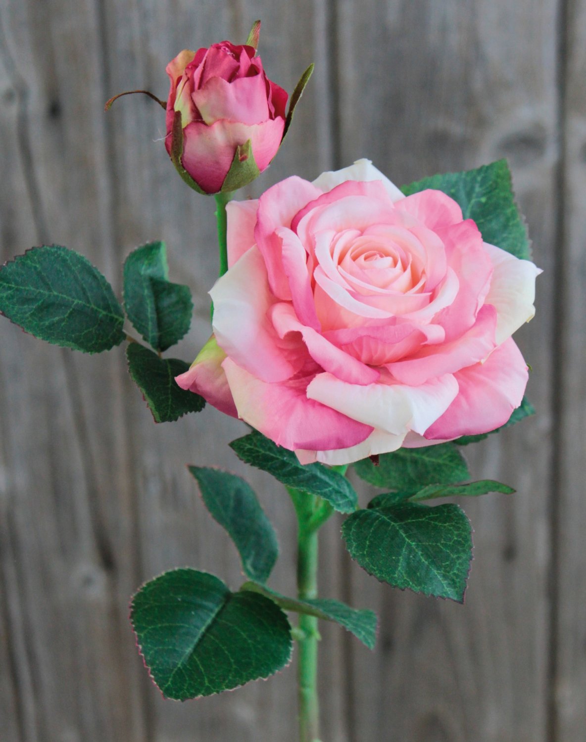 Künstliche Rose, 1 Blüten, 1 Knospen, 37 cm, Real Touch Soft, hellrosa-dunkelrosa