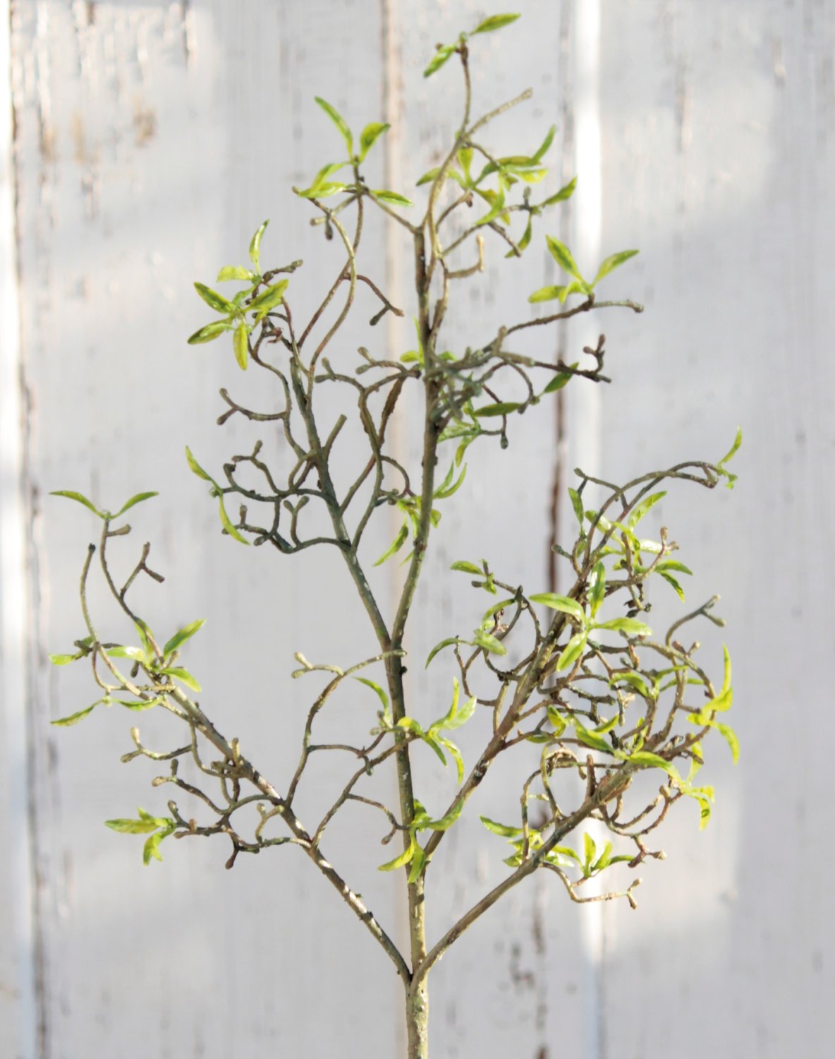 Artificial decorative twig with delicate leaves, 72 cm, green