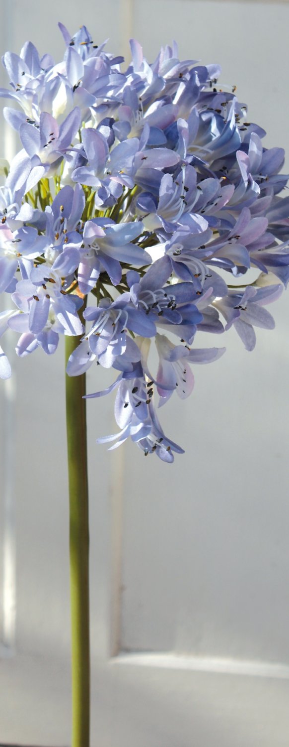 Künstlicher Agapanthus, 102 cm, hellviolett-dunkelviolett