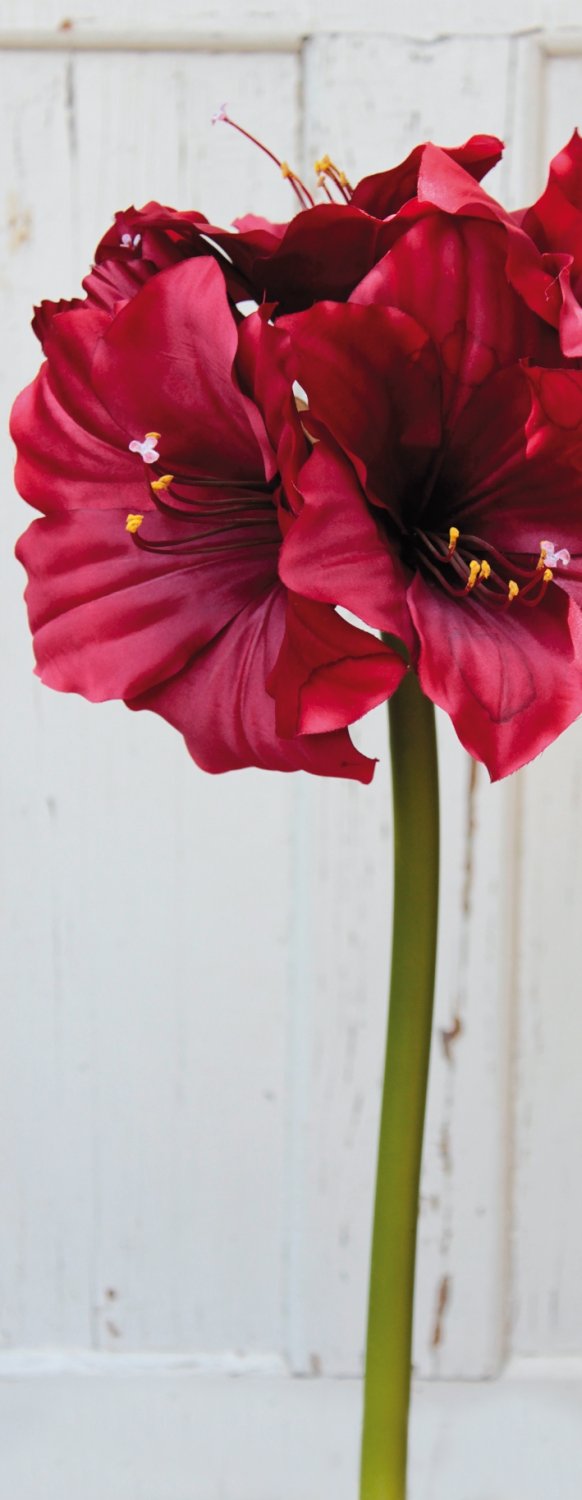 Silk amaryllis, 71 cm, red