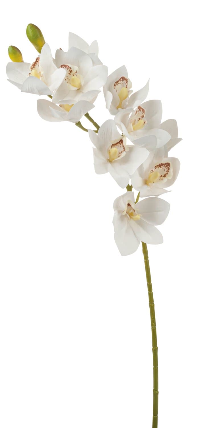 Kunstorchidee Cymbidium mit 10 Blüten, 74 cm, Ø 9 cm, Real Touch, creme-weiß