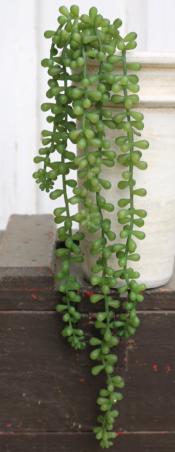 Artificial succulent, hanging, 52 cm, green