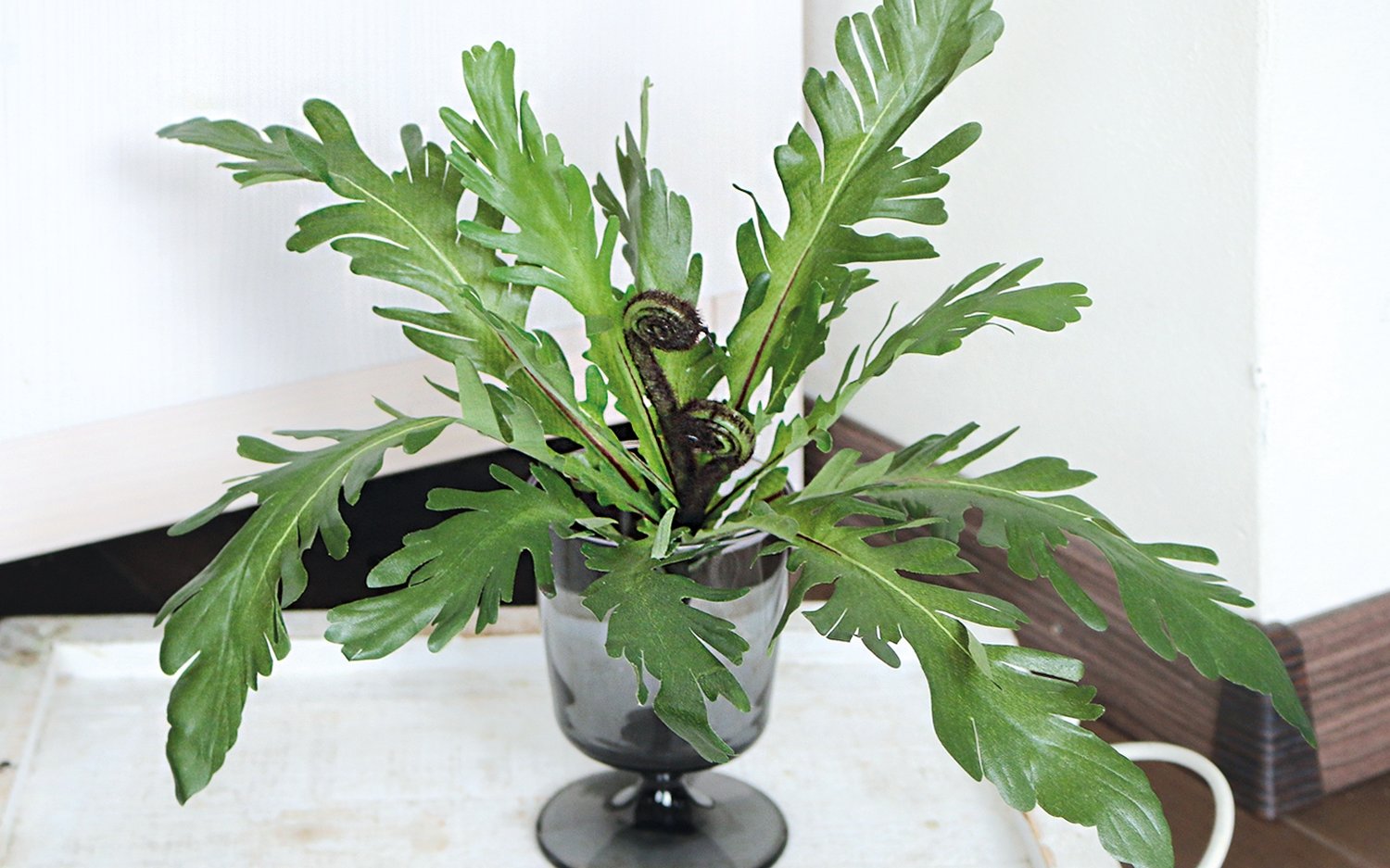 Artificial nest fern, 30 cm, green