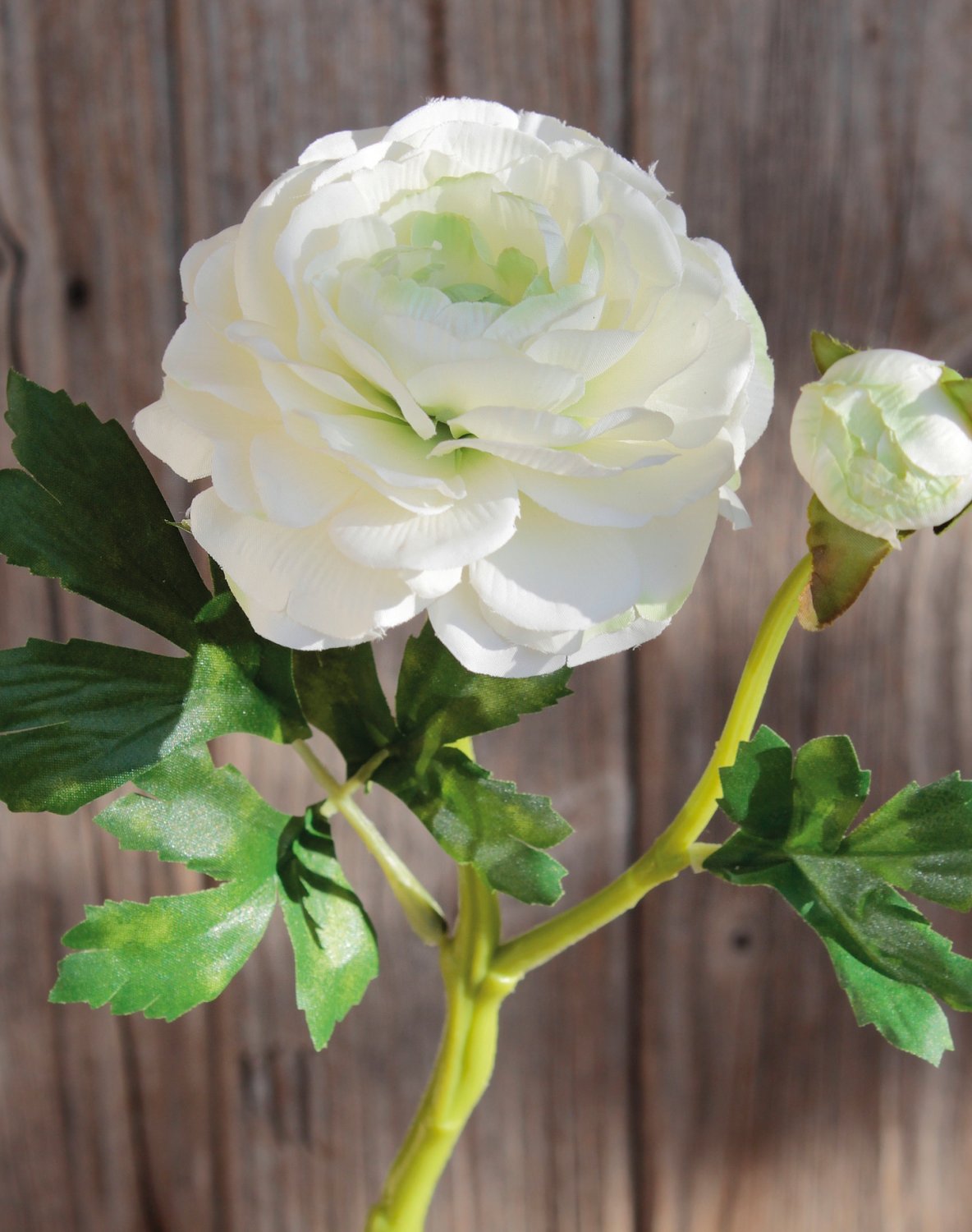 Künstliche Ranunkel, 1 Blüten, 1 Knospen, 32 cm, creme-weiß