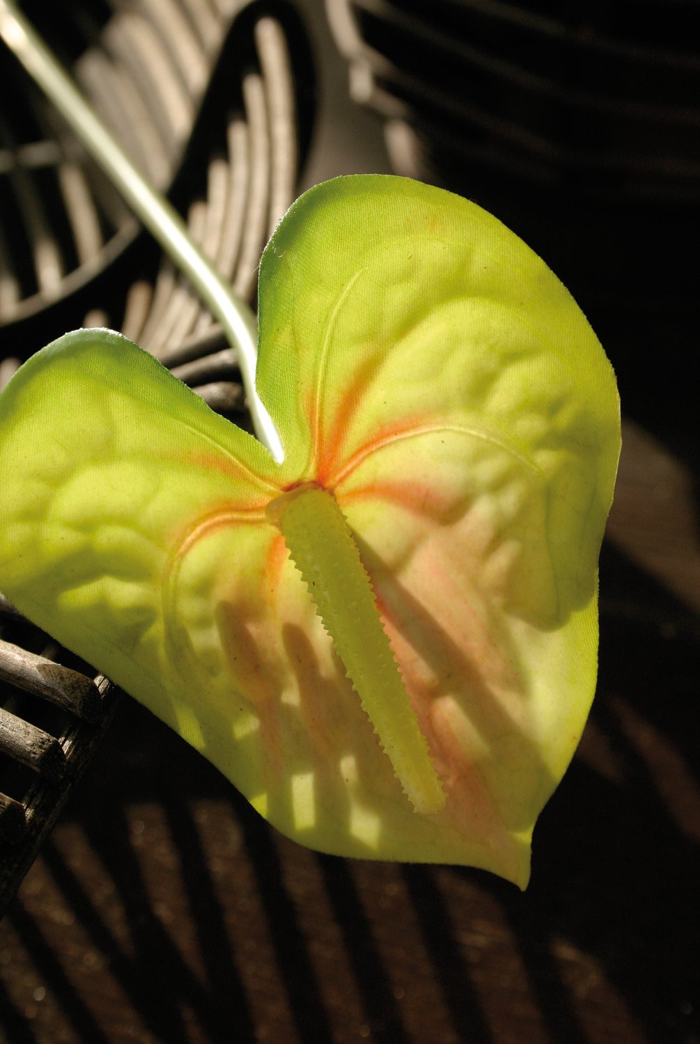 Künstliche Anthurium, 51 cm, grün