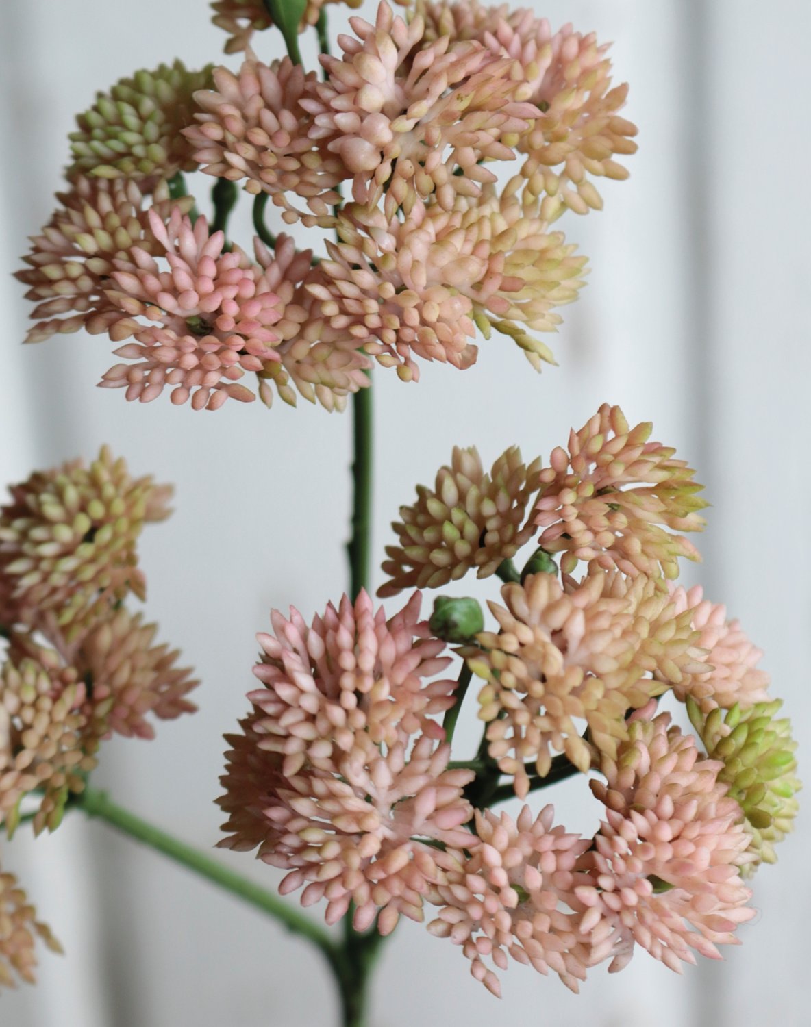 Artificial sedum branch, 32 cm, beige-apricot