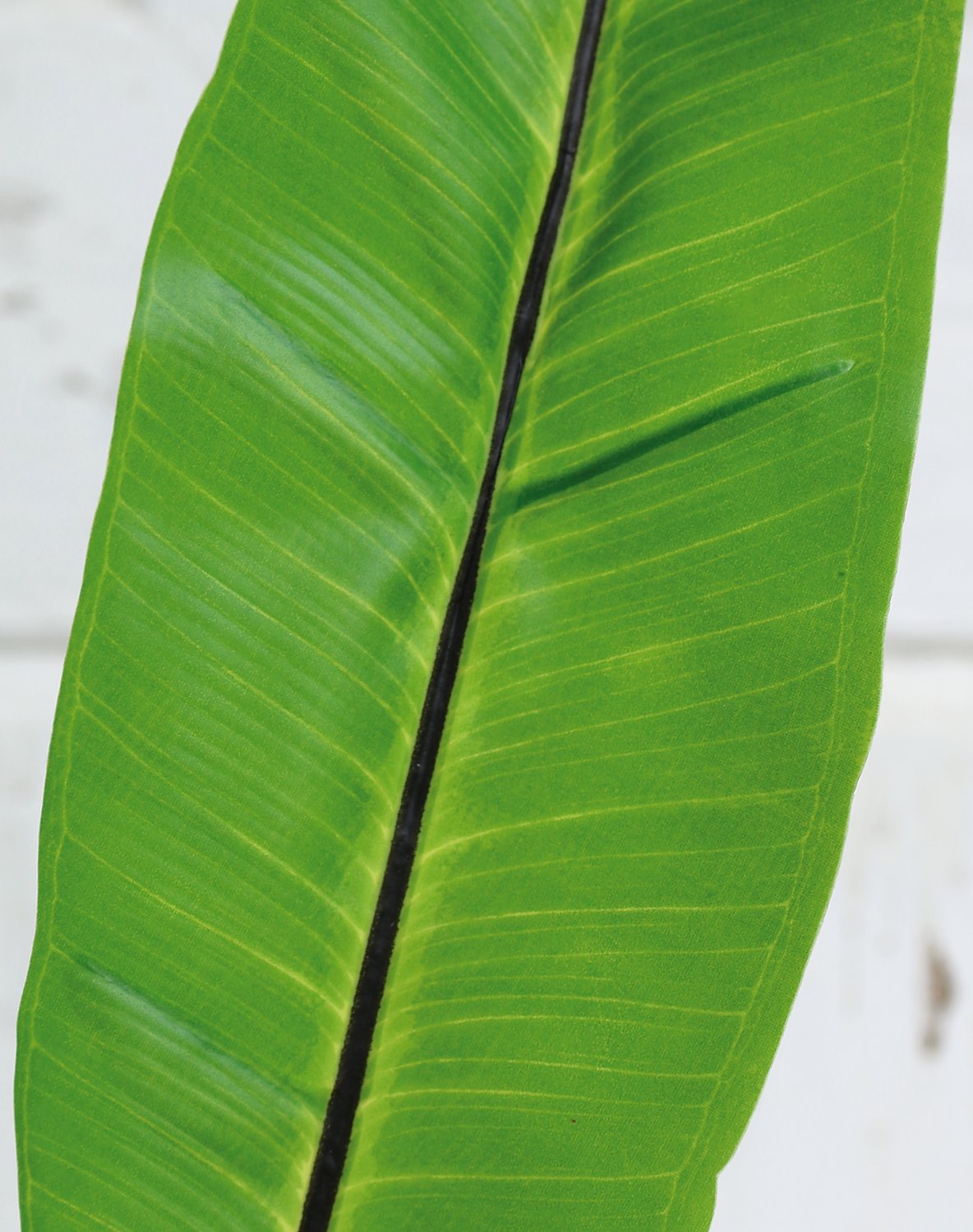 Künstliches Nestfarnblatt, 97 cm, grün
