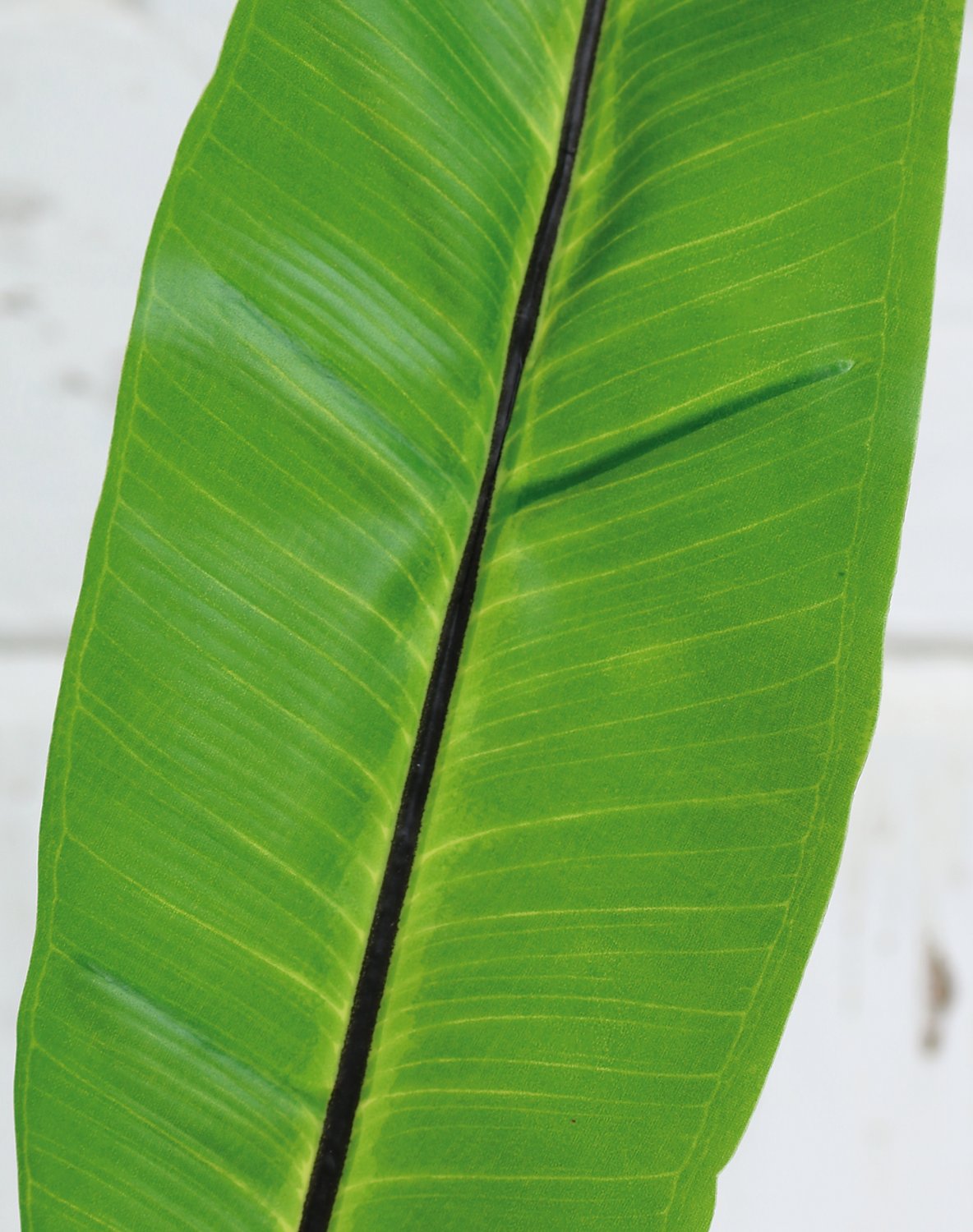 Artificial nest fern leaf, 97 cm, green