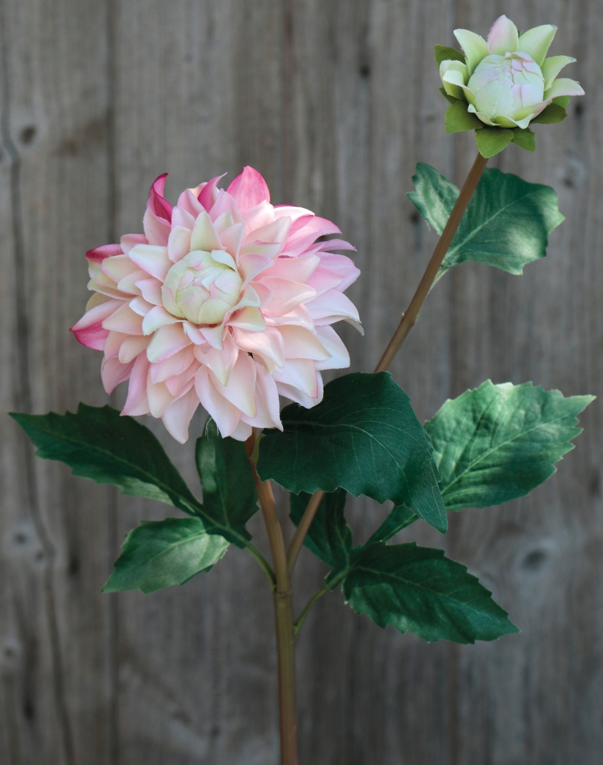 Silk dahlia, 56 cm, apricot