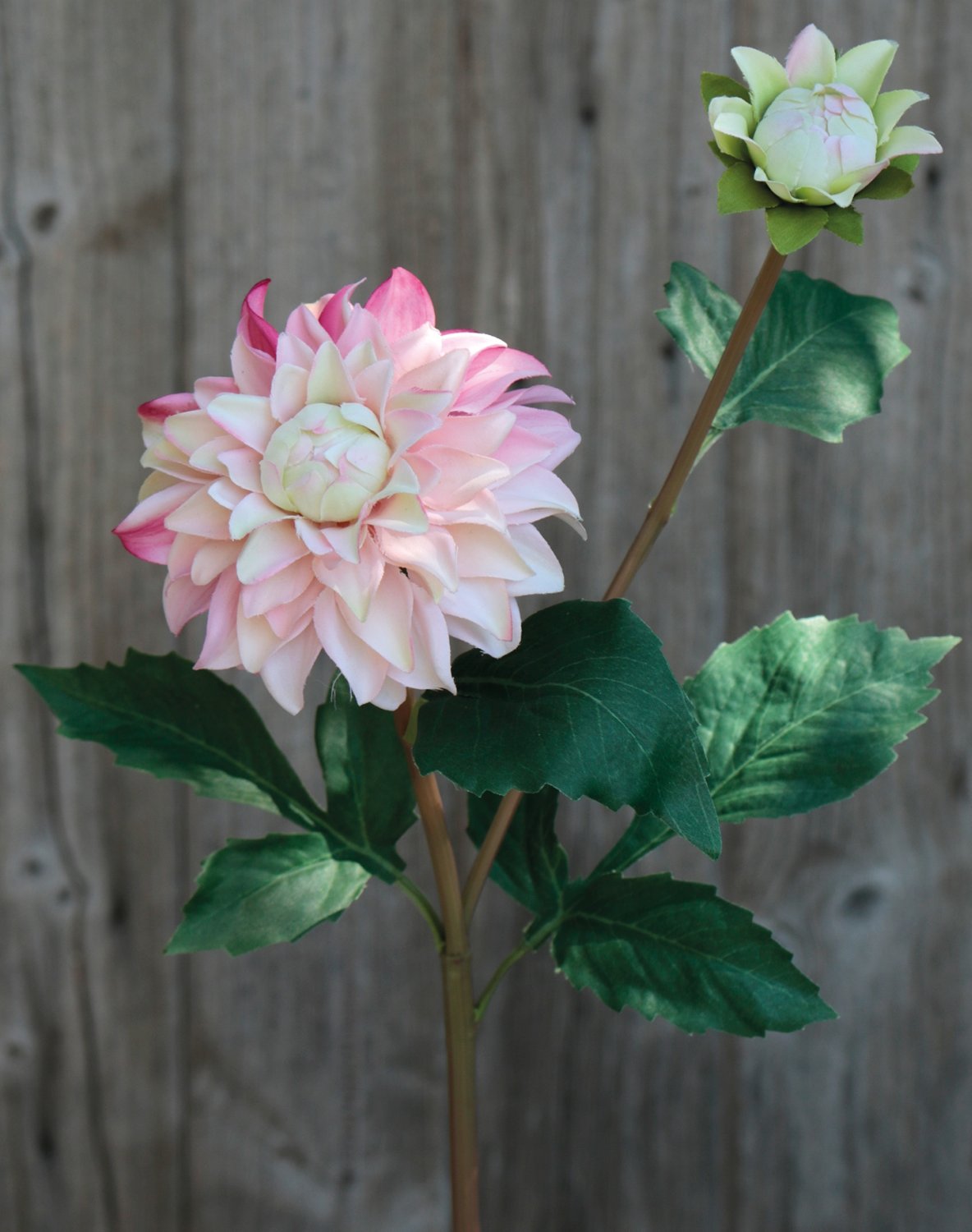 Dalia artificial, 56 cm, albaricoque Dalia artificial, 56 cm, albaricoque