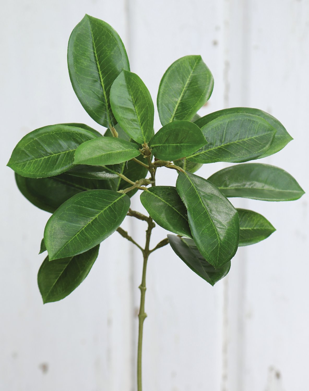 Künstlicher Viburnum Zweig, 36 cm, grün