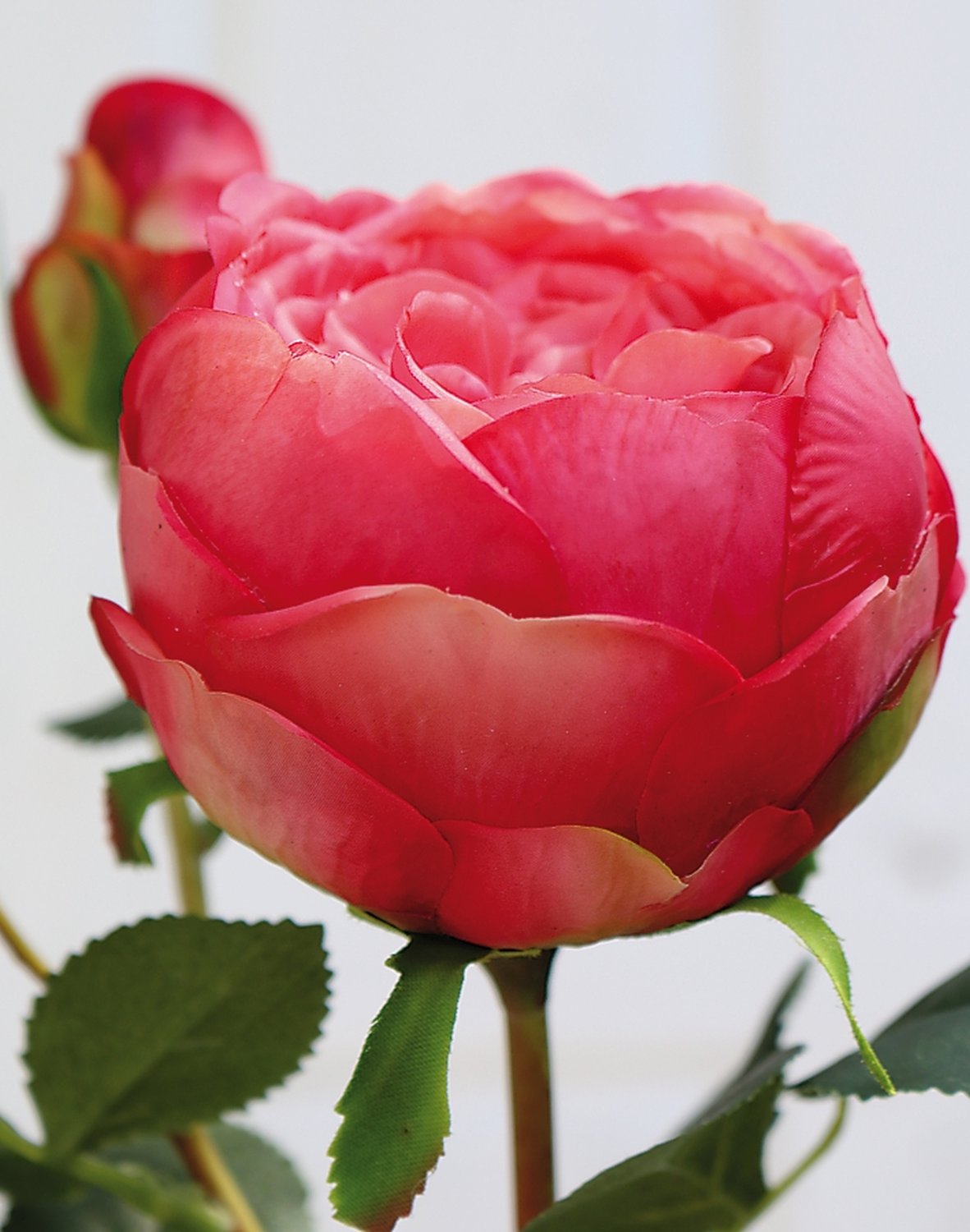False rose, 1 flower, 2 buds, 60 cm, real touch soft, pink