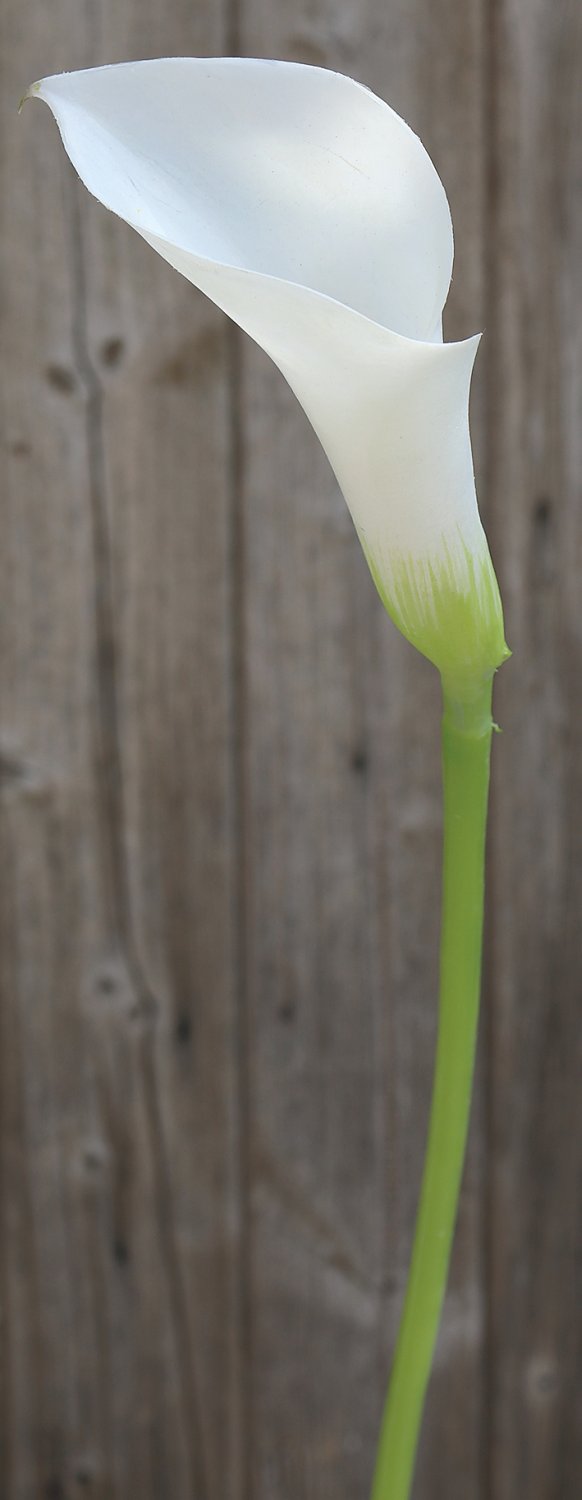 Künstliche Calla aus Kunststoff, 75 cm, weiß