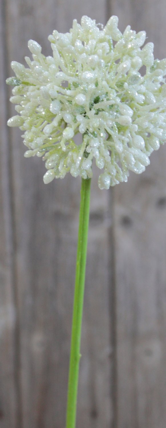 Allium artificiale, 45 cm, verde-ghiaccio