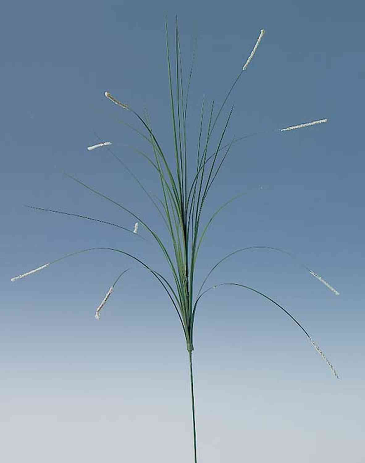 Fake grass foxtail, 70 cm, beige-white