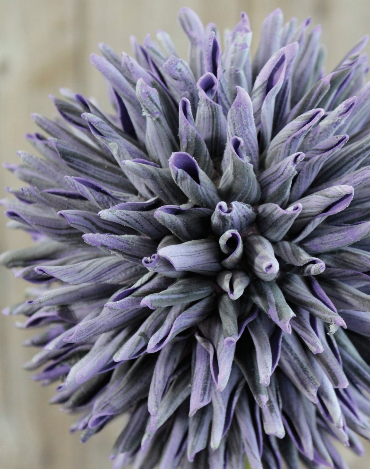 Artificial soft flower 'allium', 80 cm, dark violet