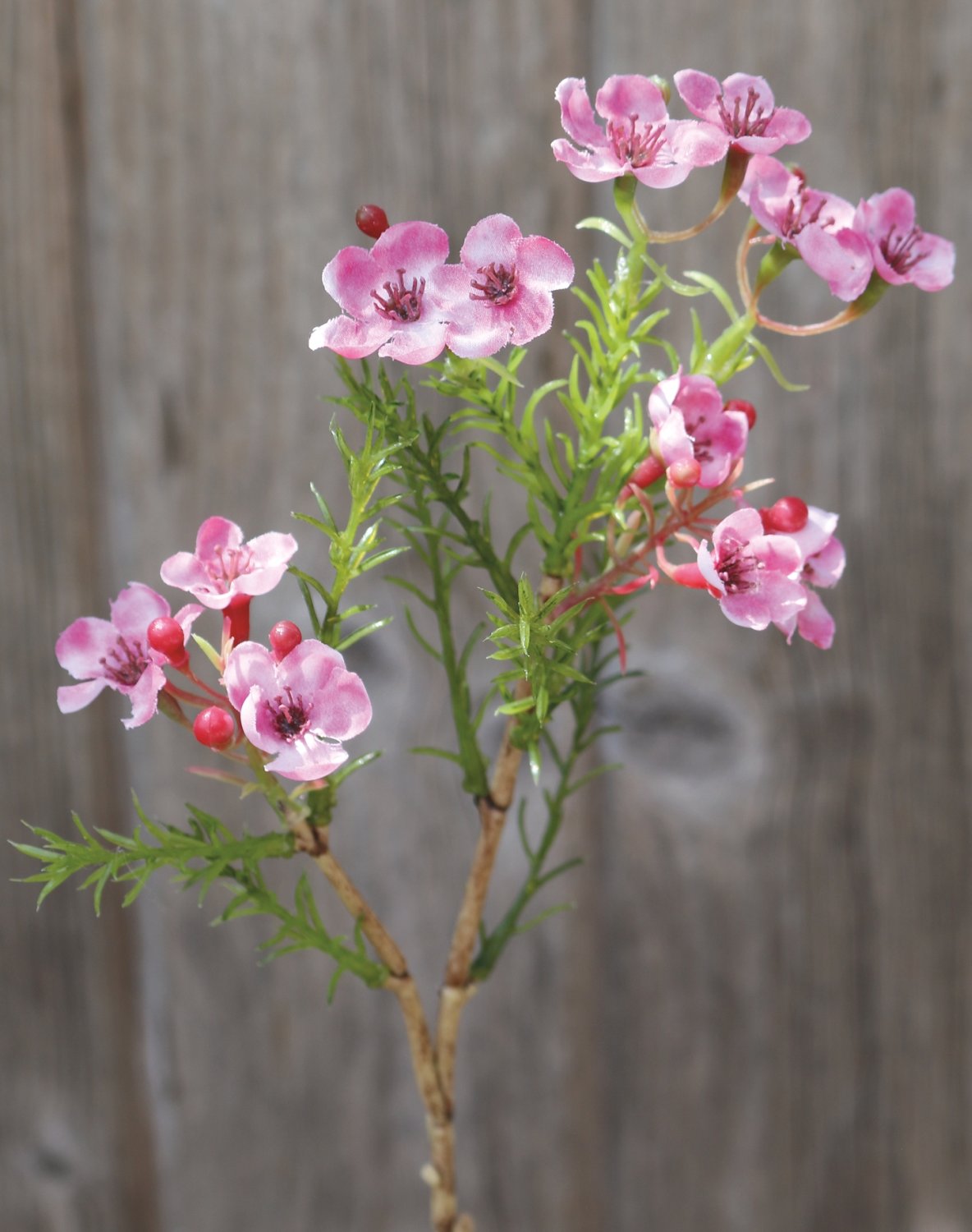 Künstliche Wachsblume, 25 cm, pink