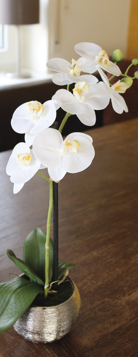 Orquídea de imitación Phalaenopsis, en maceta, 45 cm, tacto real suave, blanco crema Orquídea de imitación Phalaenopsis, en maceta, 45 cm, tacto real suave, blanco crema
