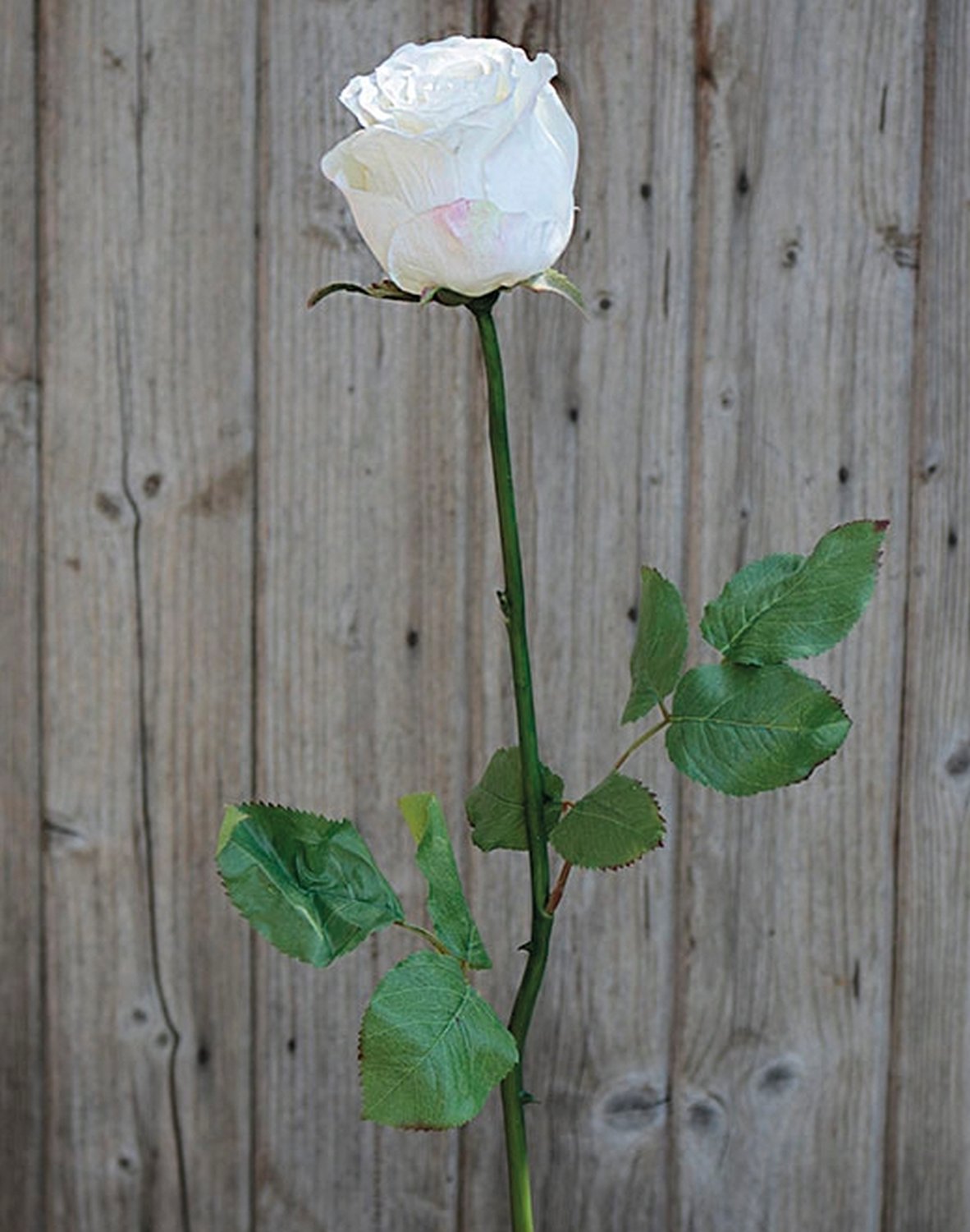 Künstliche Rose Duchesse, 85 cm, creme-weiß