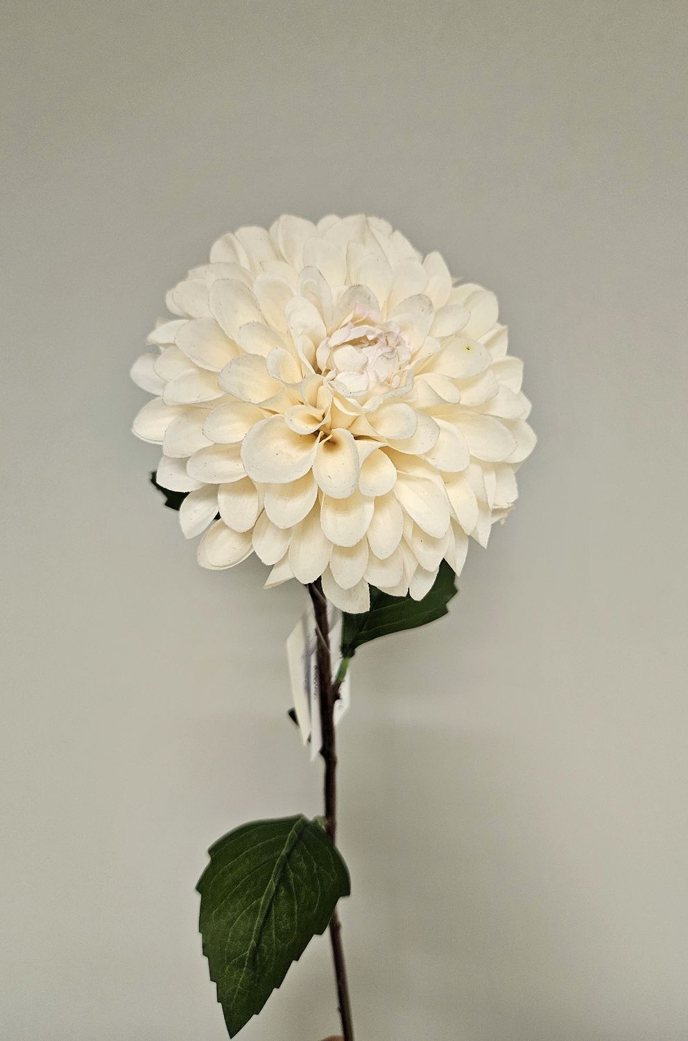 Künstliche Dahlie, 57 cm, Soft Feel, creme-weiß