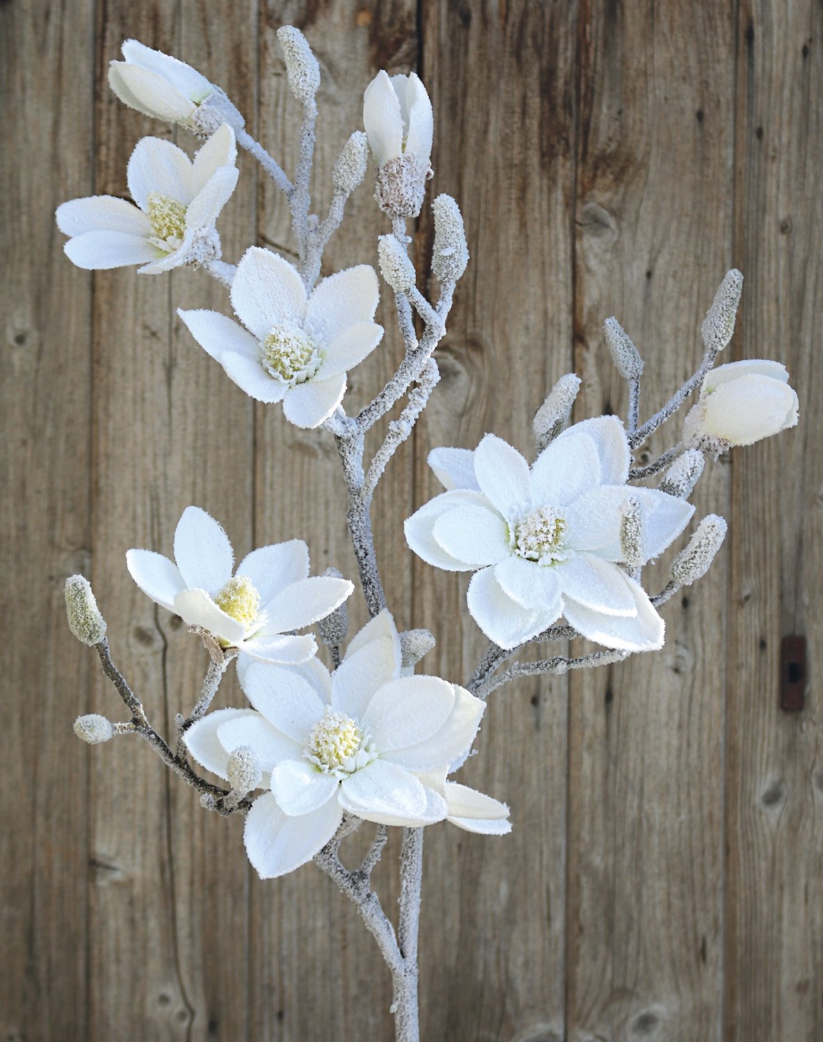 Künstlicher Magnolien Blütenzweig, gefrostet, 114 cm, frost-weiß